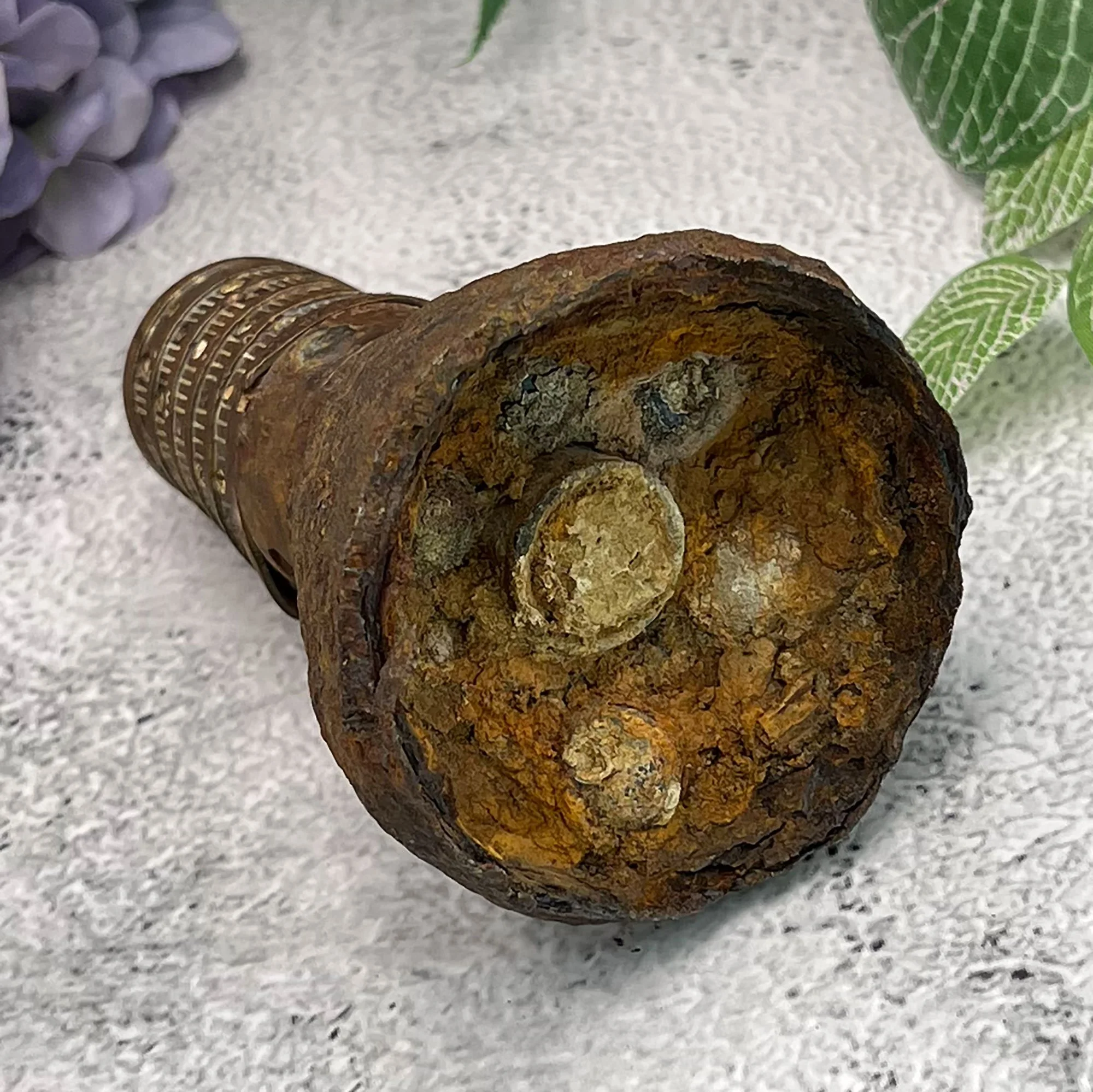 fuse-pod9.jpg
