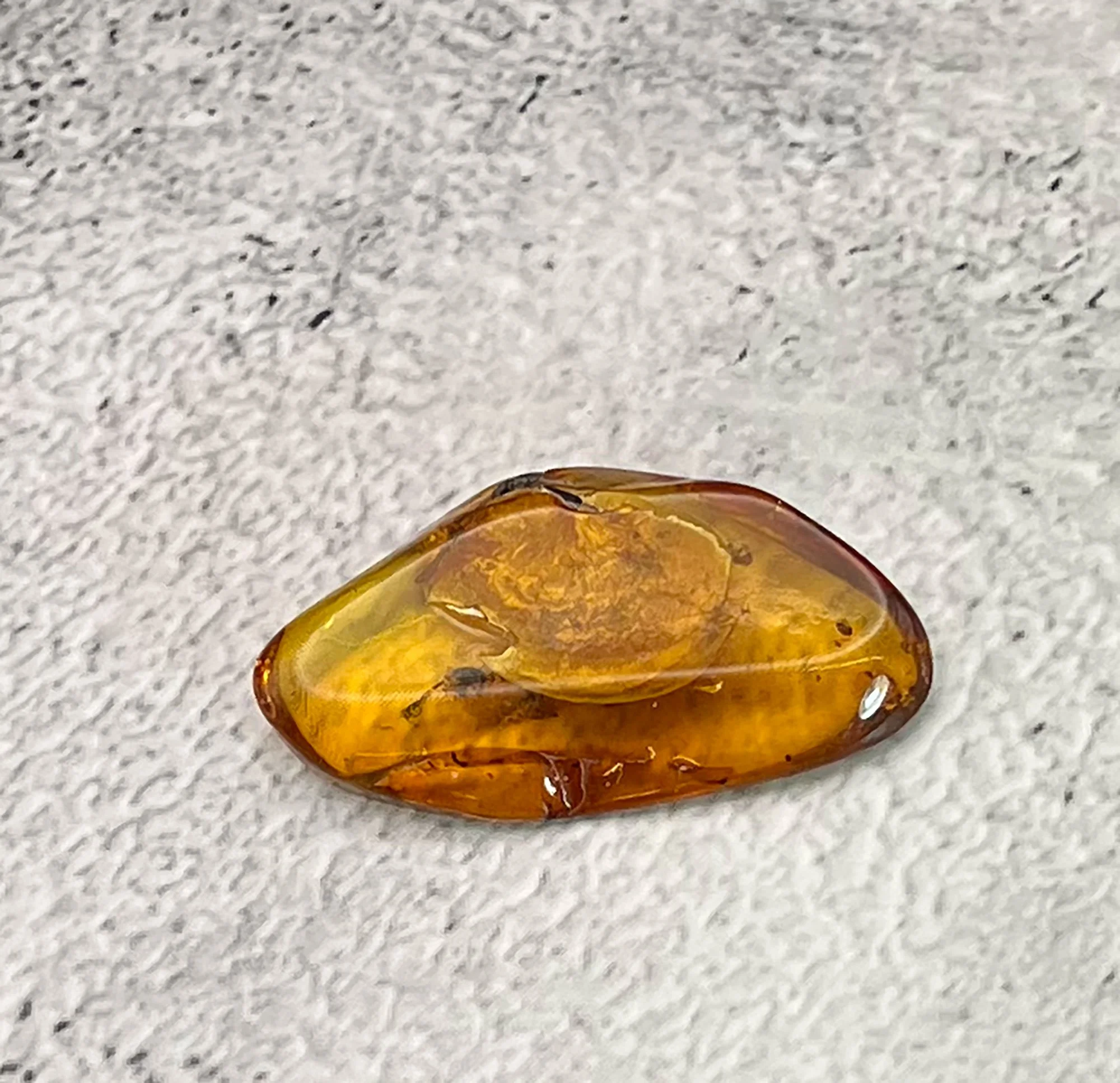 amber2-pod25.jpg