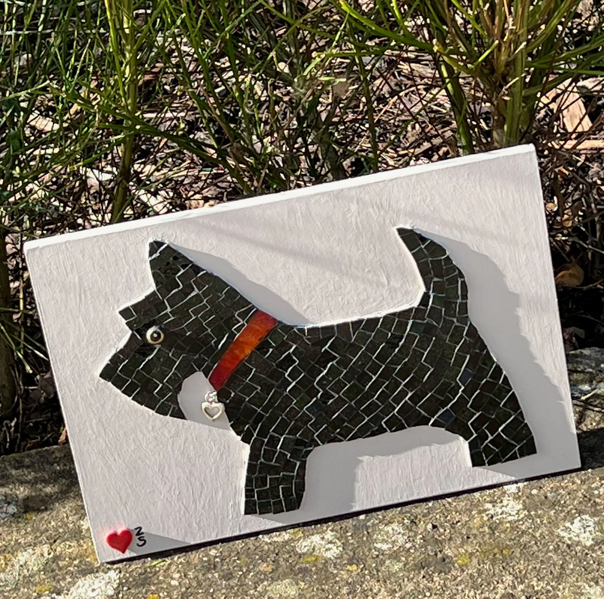 dog-pod79.jpg