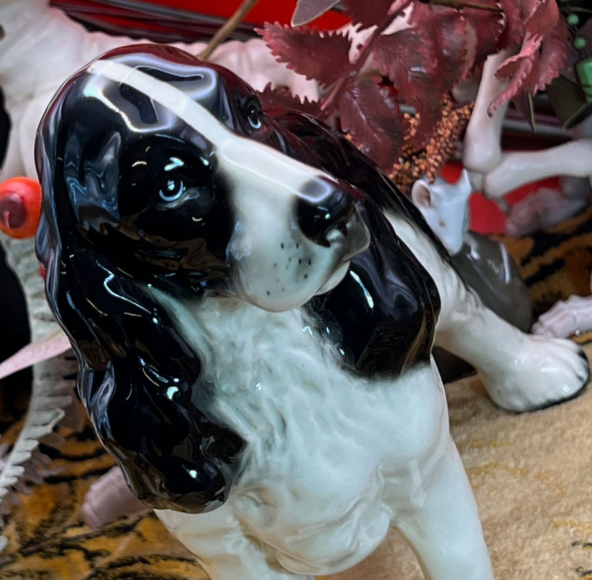 dog3-pod60.jpg