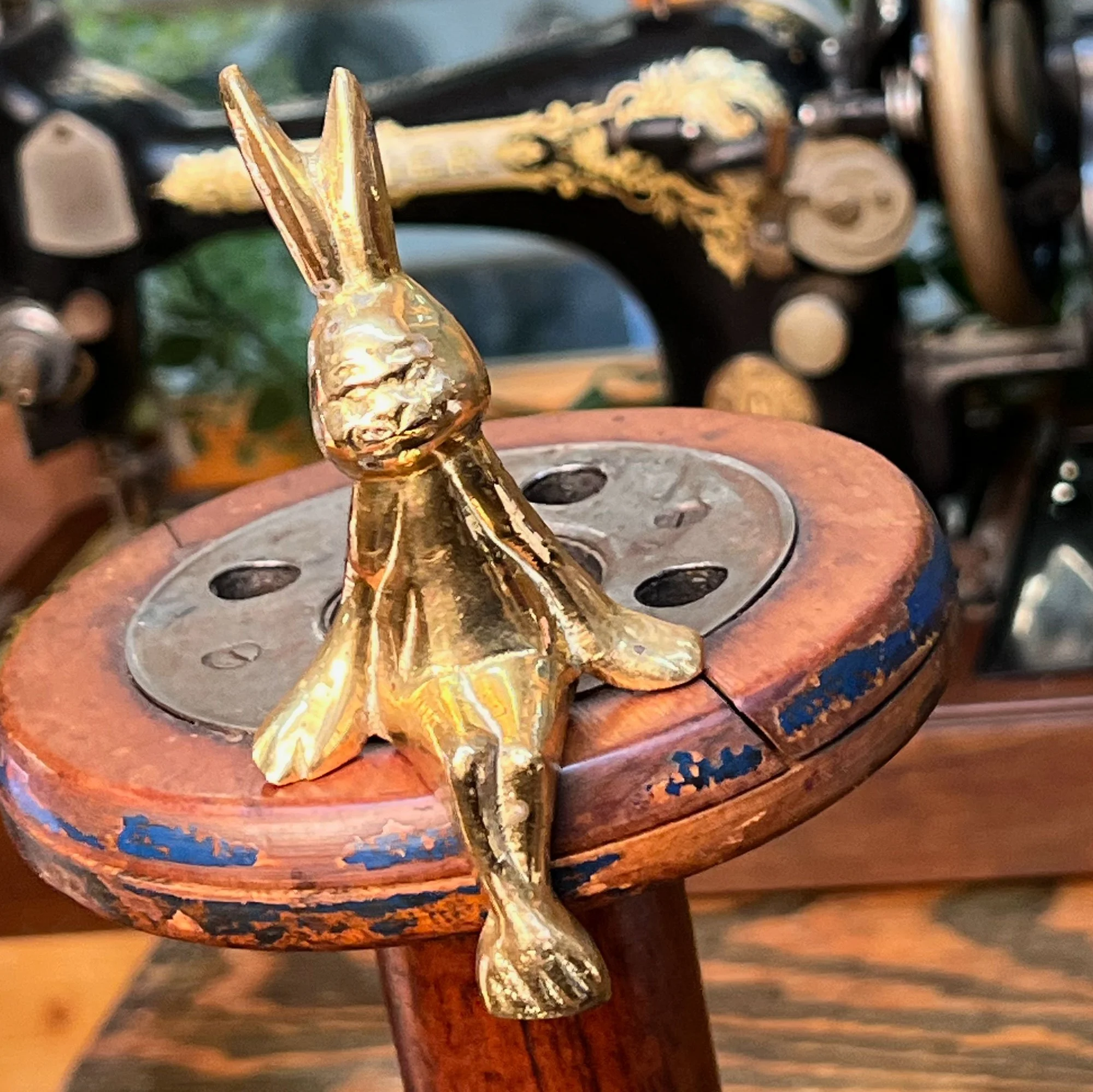 rabbit-pod82.jpg