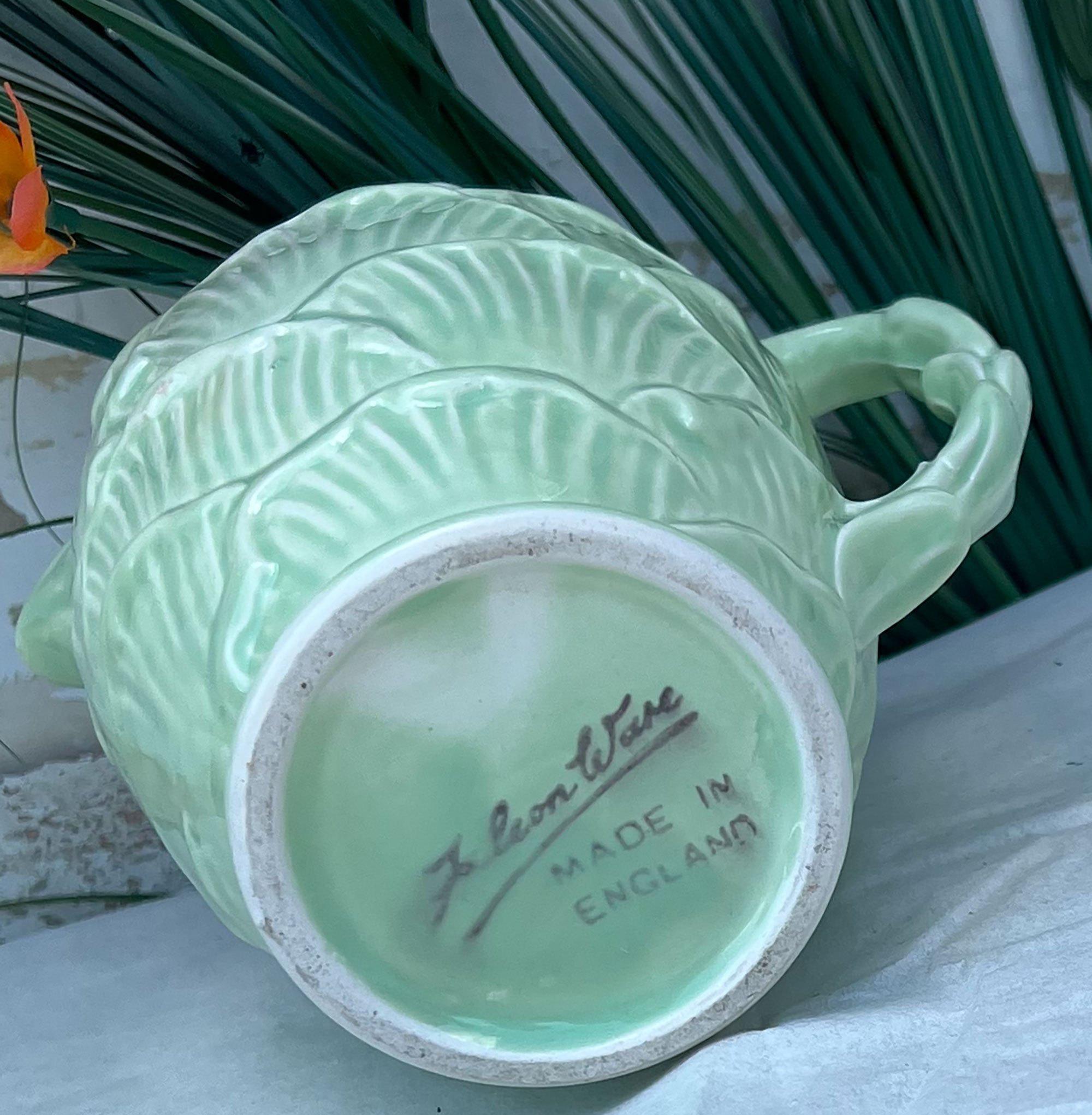 cabbage3-pod24.jpg