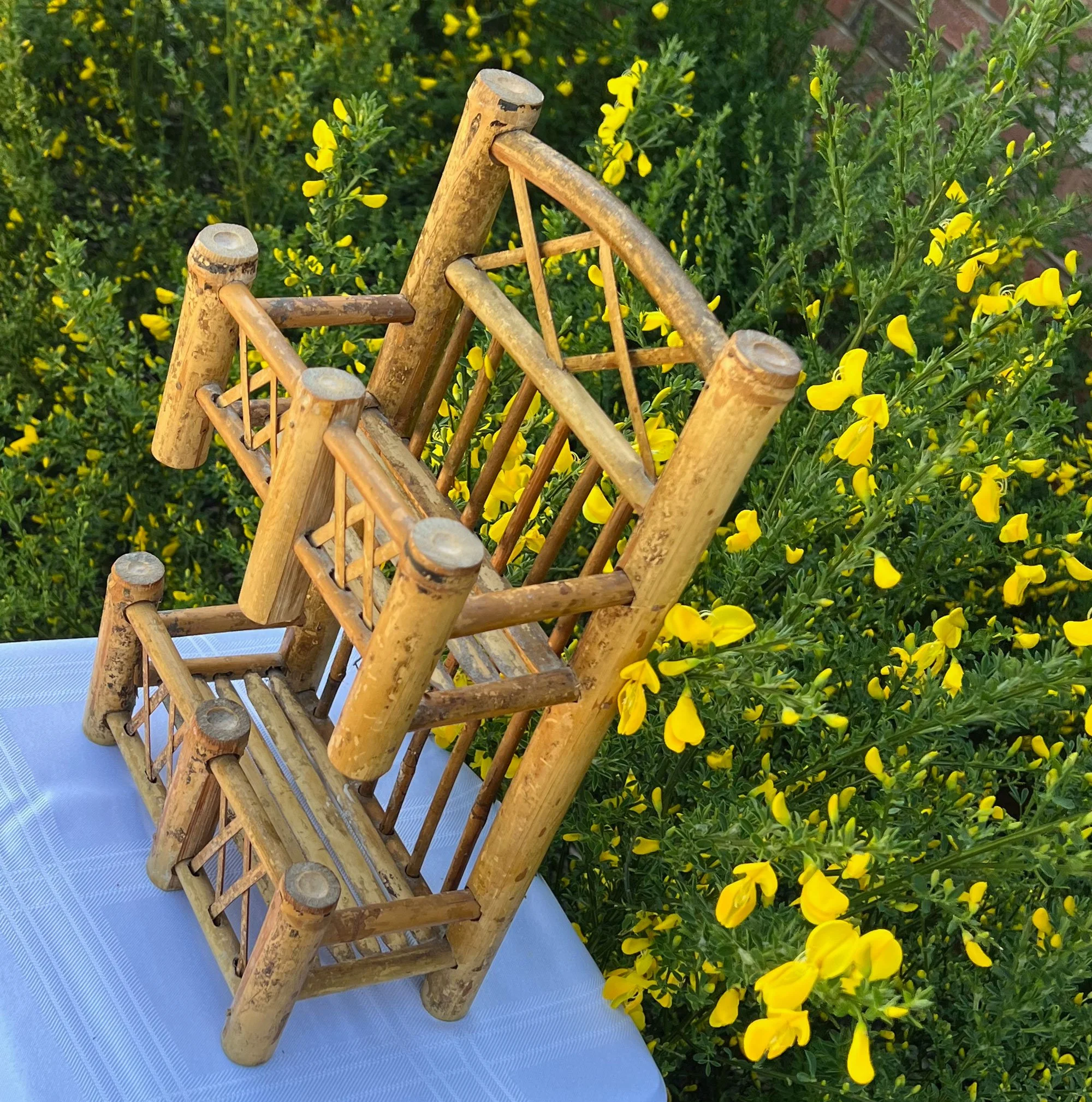 bamboo2-pod75.jpg