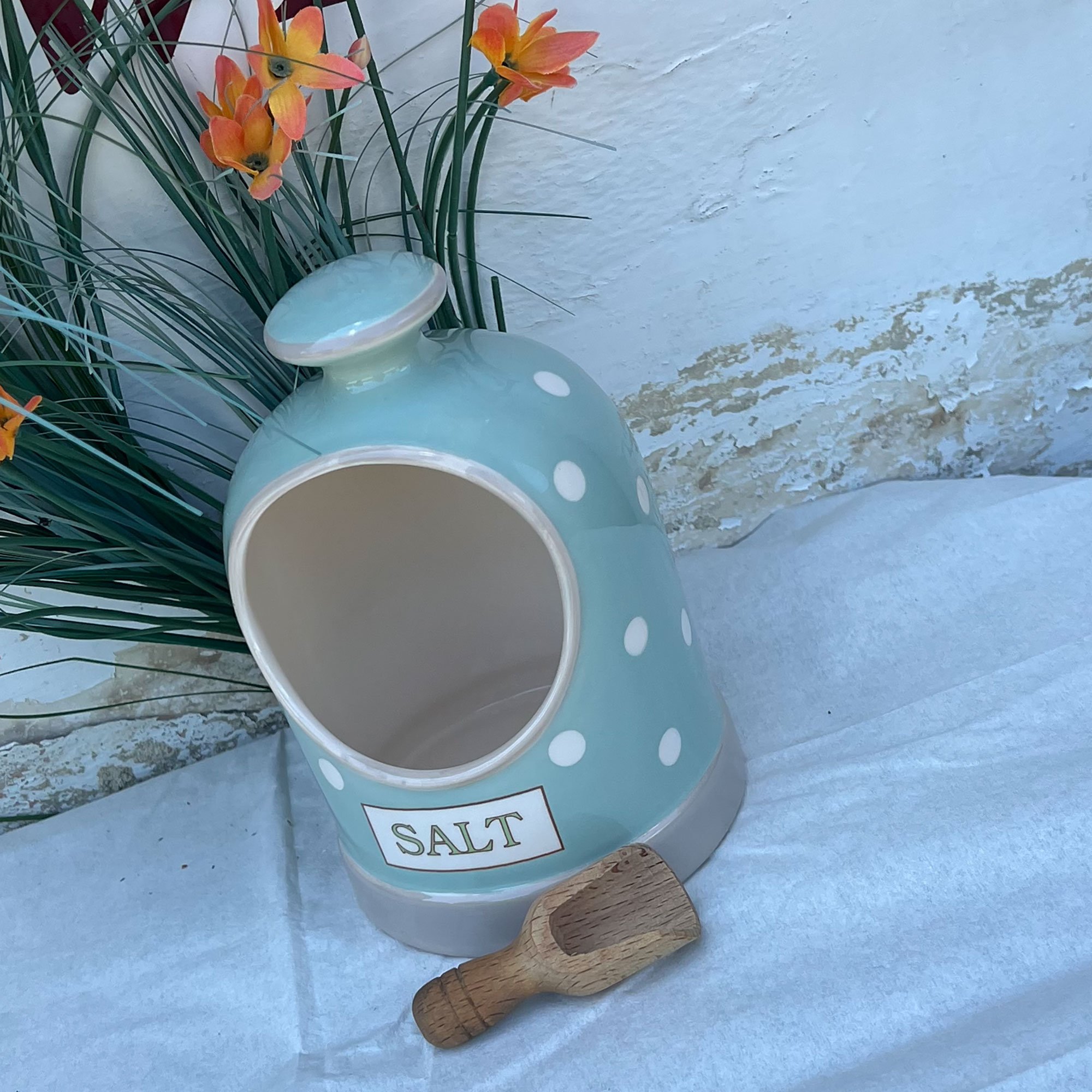 saltpig1-pod14.jpg