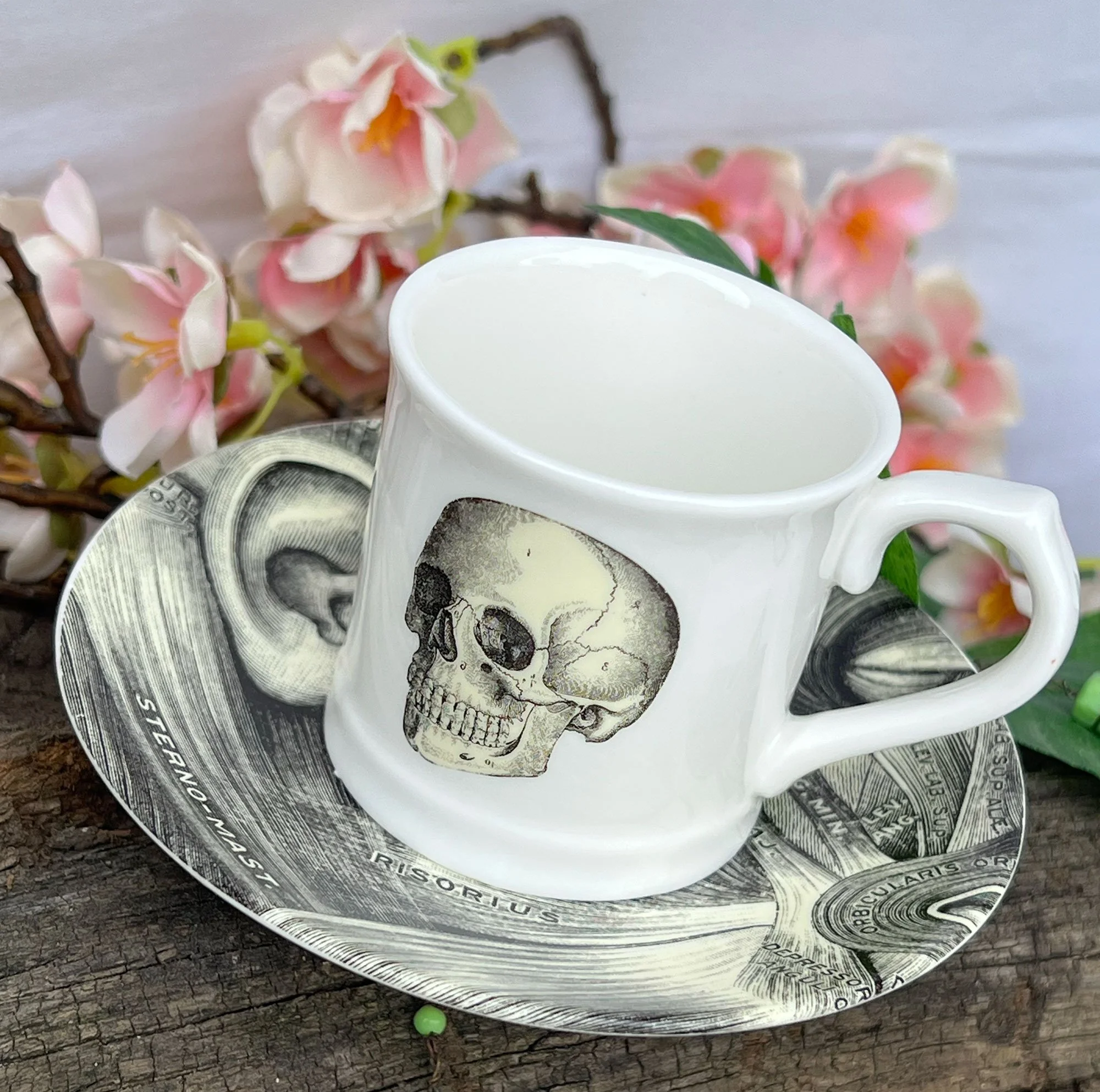skull2-pod68.jpg