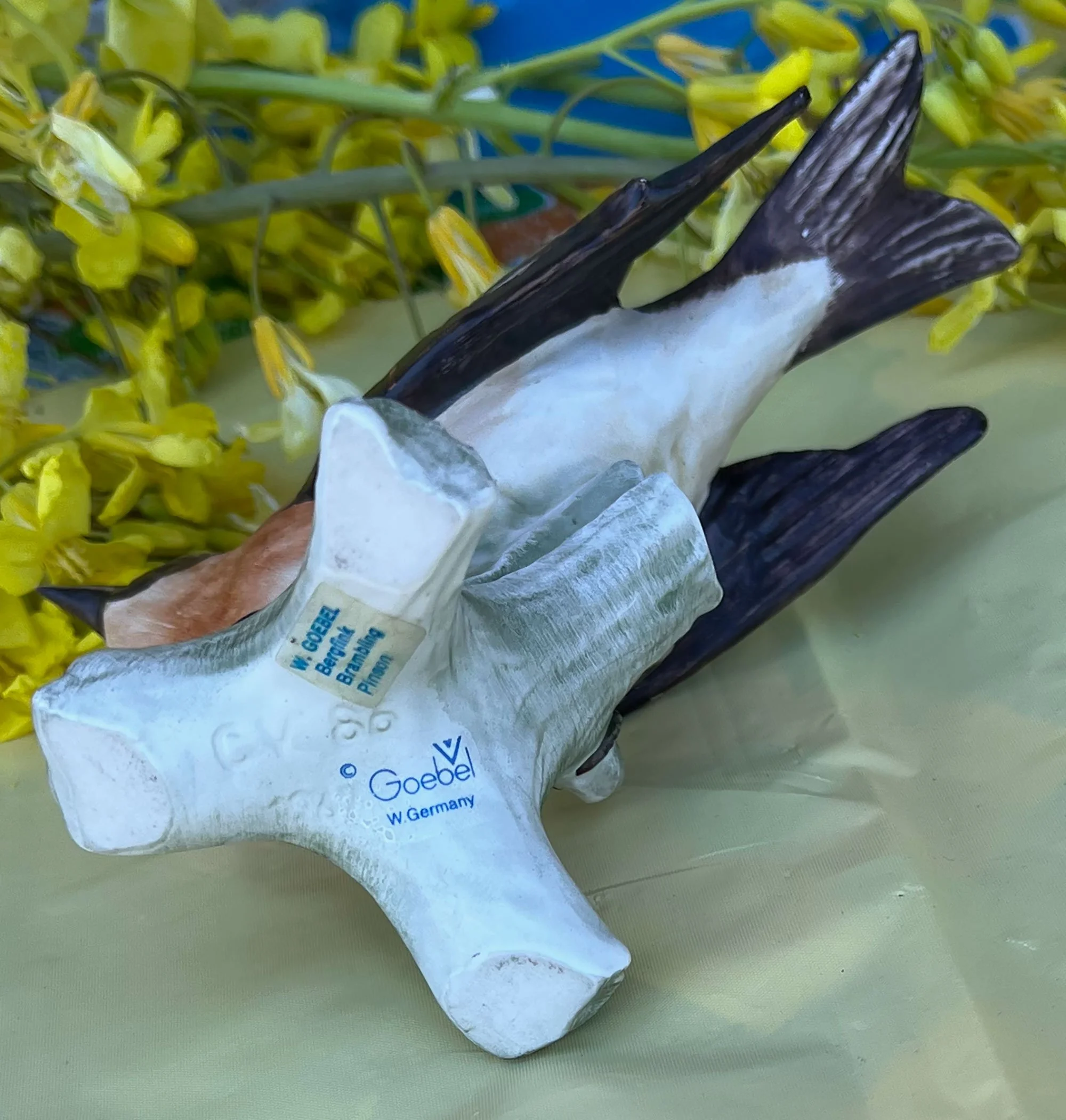 bird3-pod36.jpg