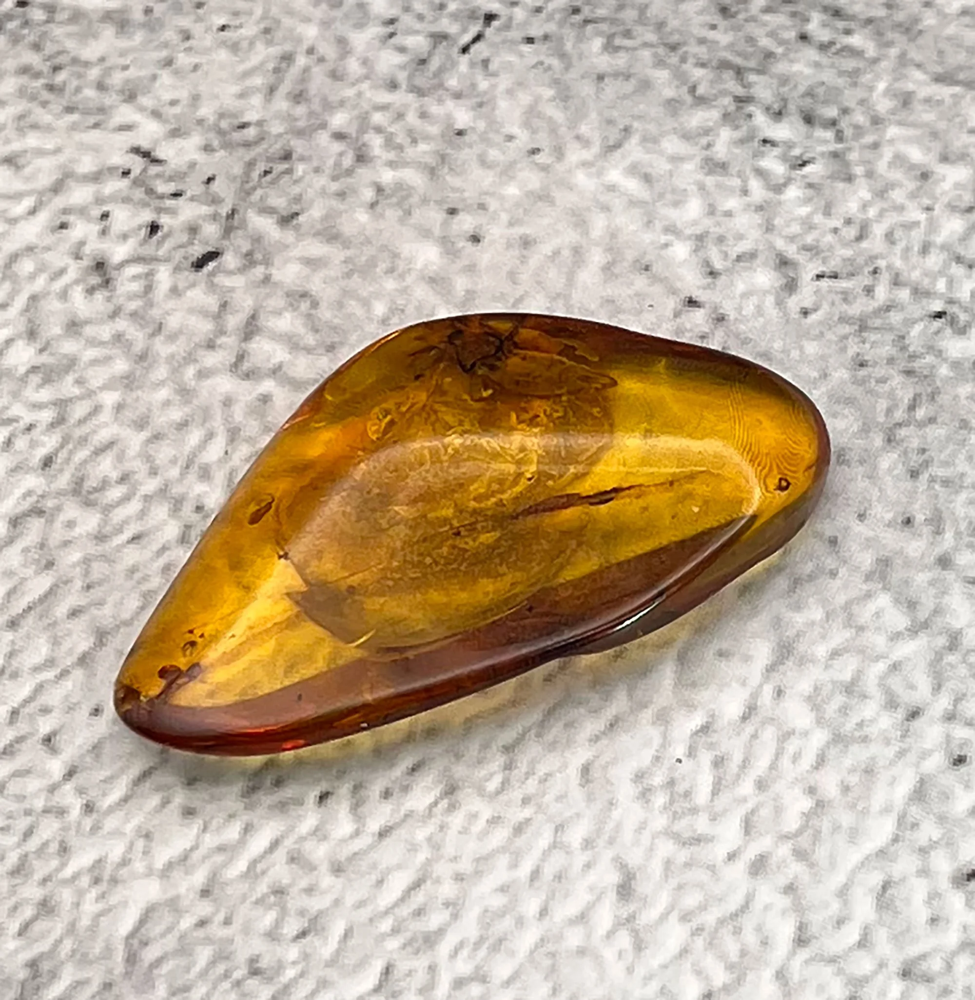 Natural Amber with insect inclusions