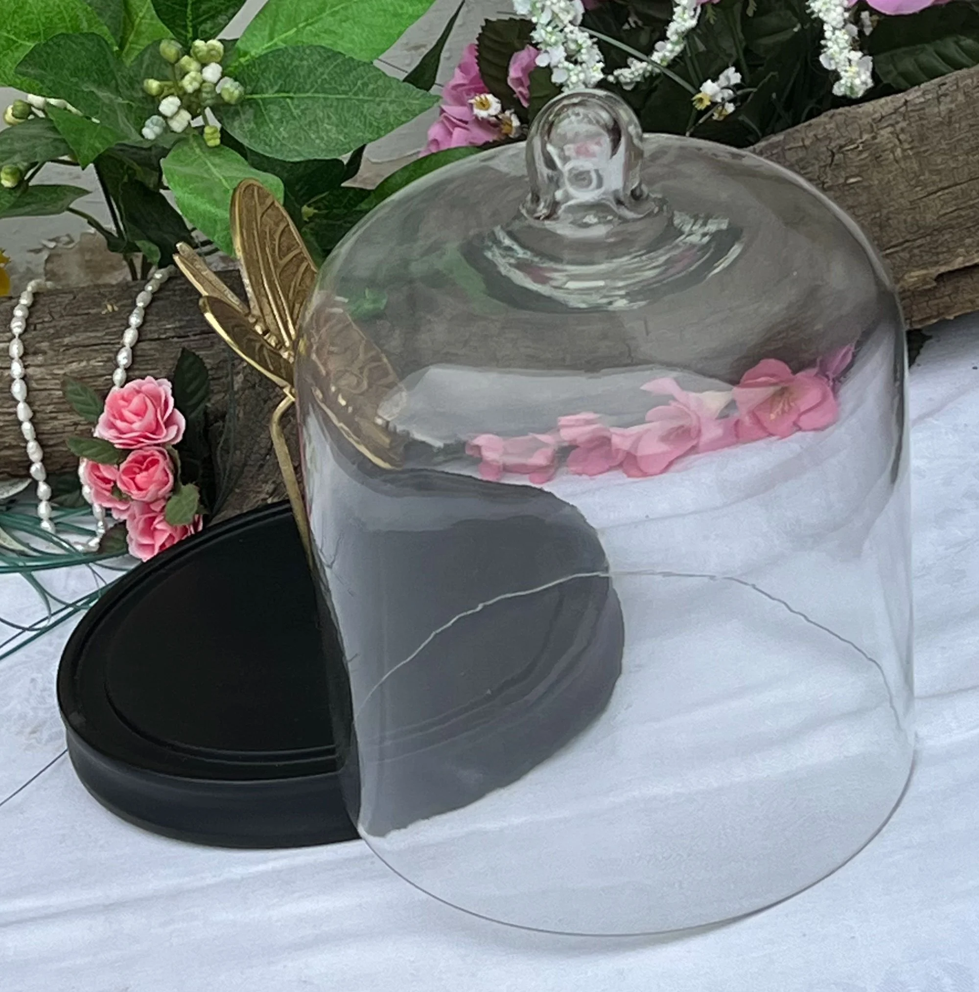 dome2-pod75.jpg