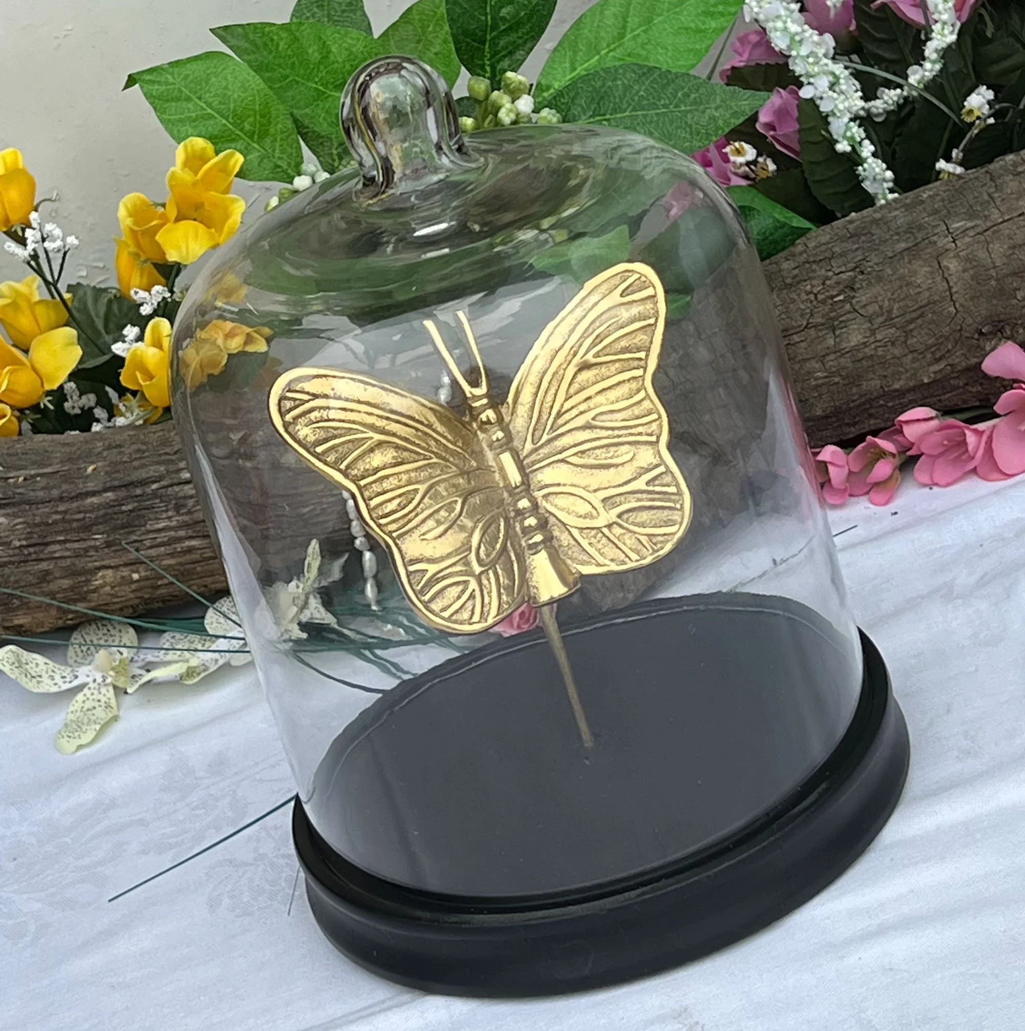 Glass Dome Butterfly Display