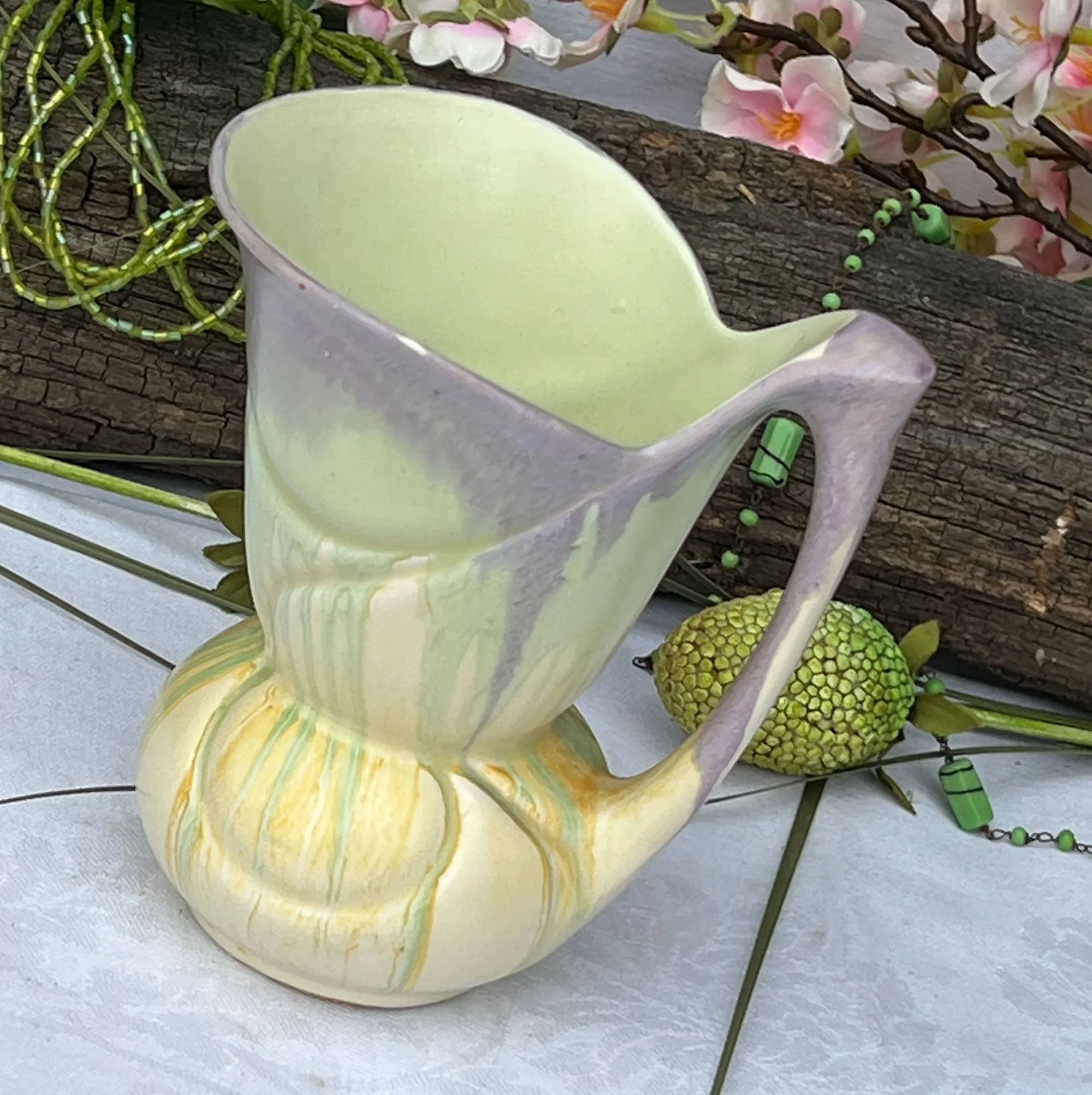 crocus-pod19.jpg