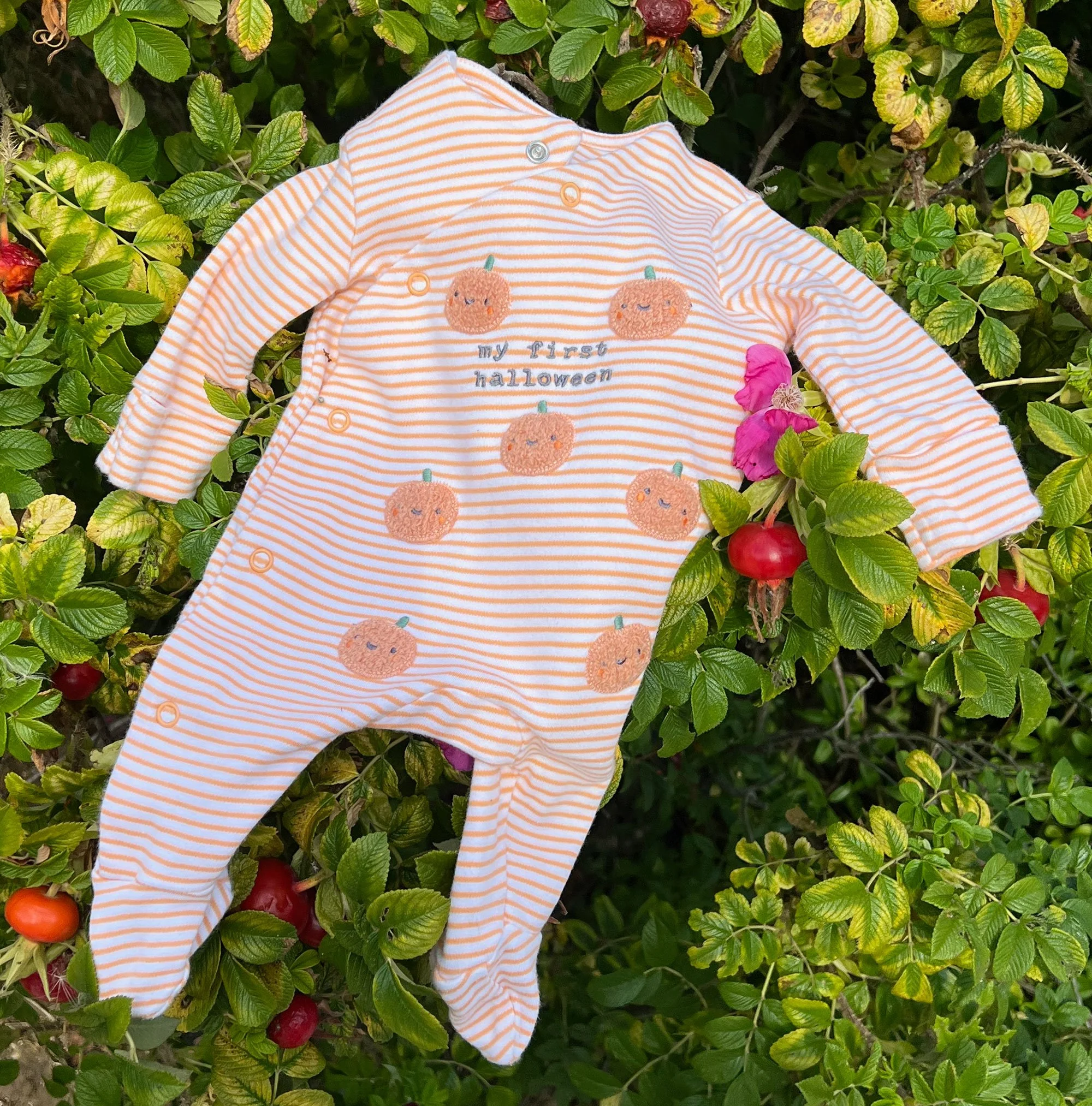 babygro-pod101.jpg
