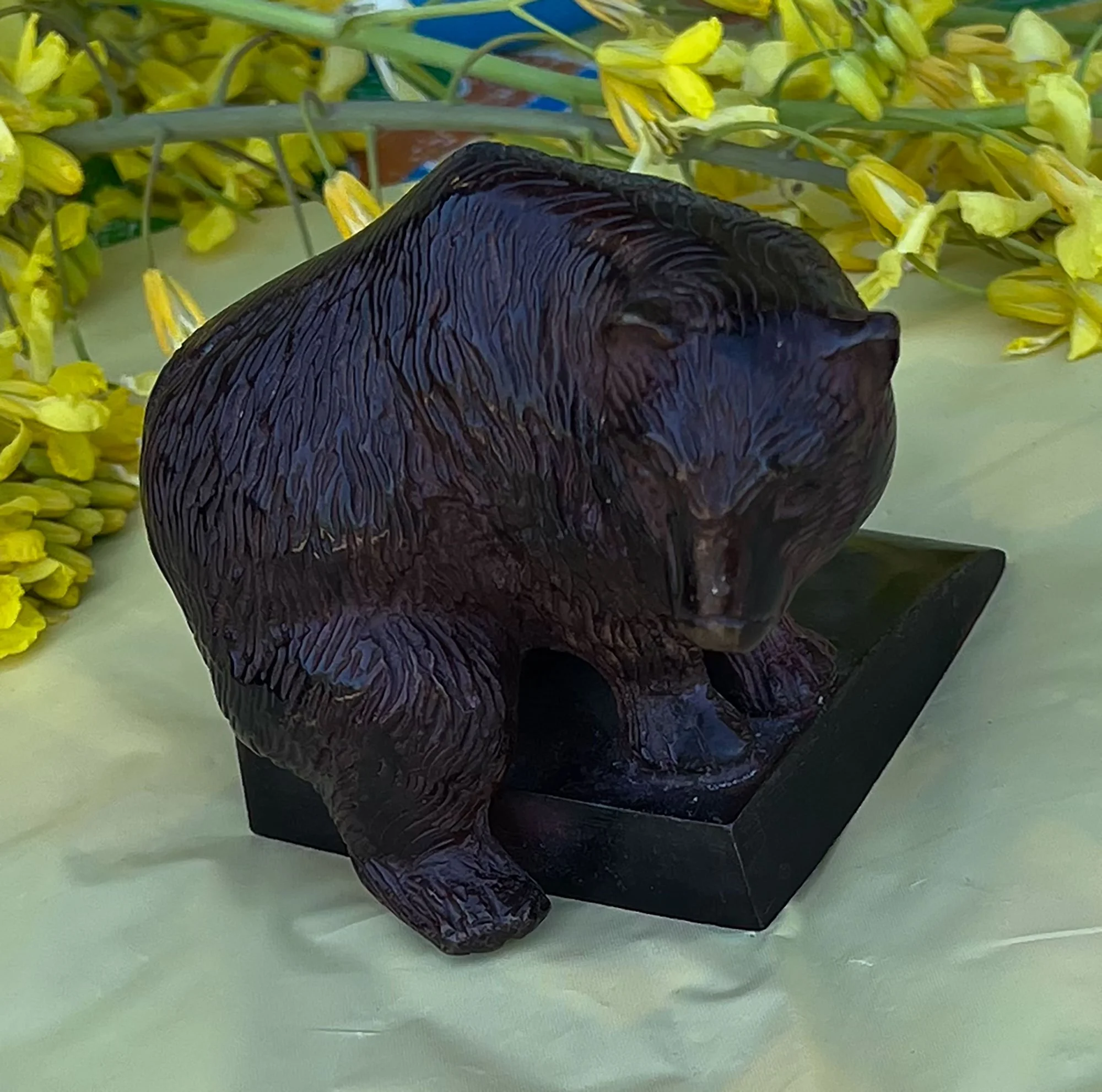 bear-pod36.jpg