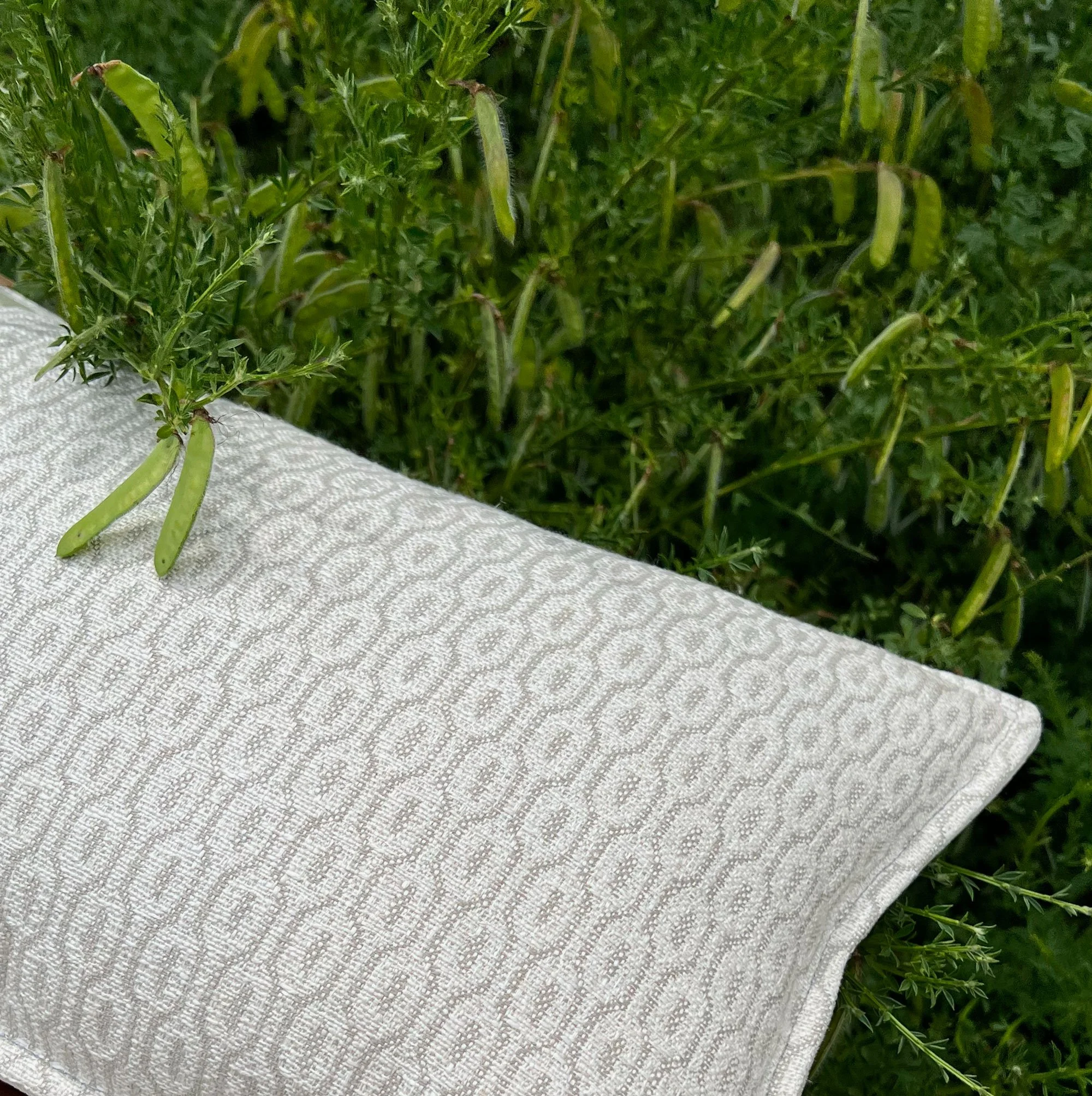 cushion2.jpg
