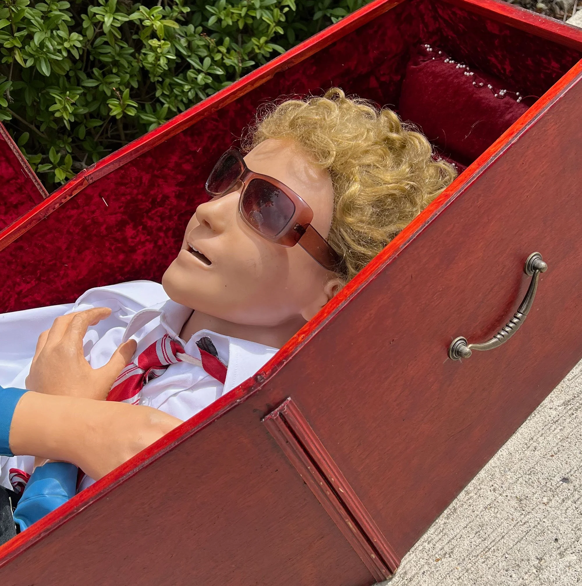 coffin6-pod16.jpg