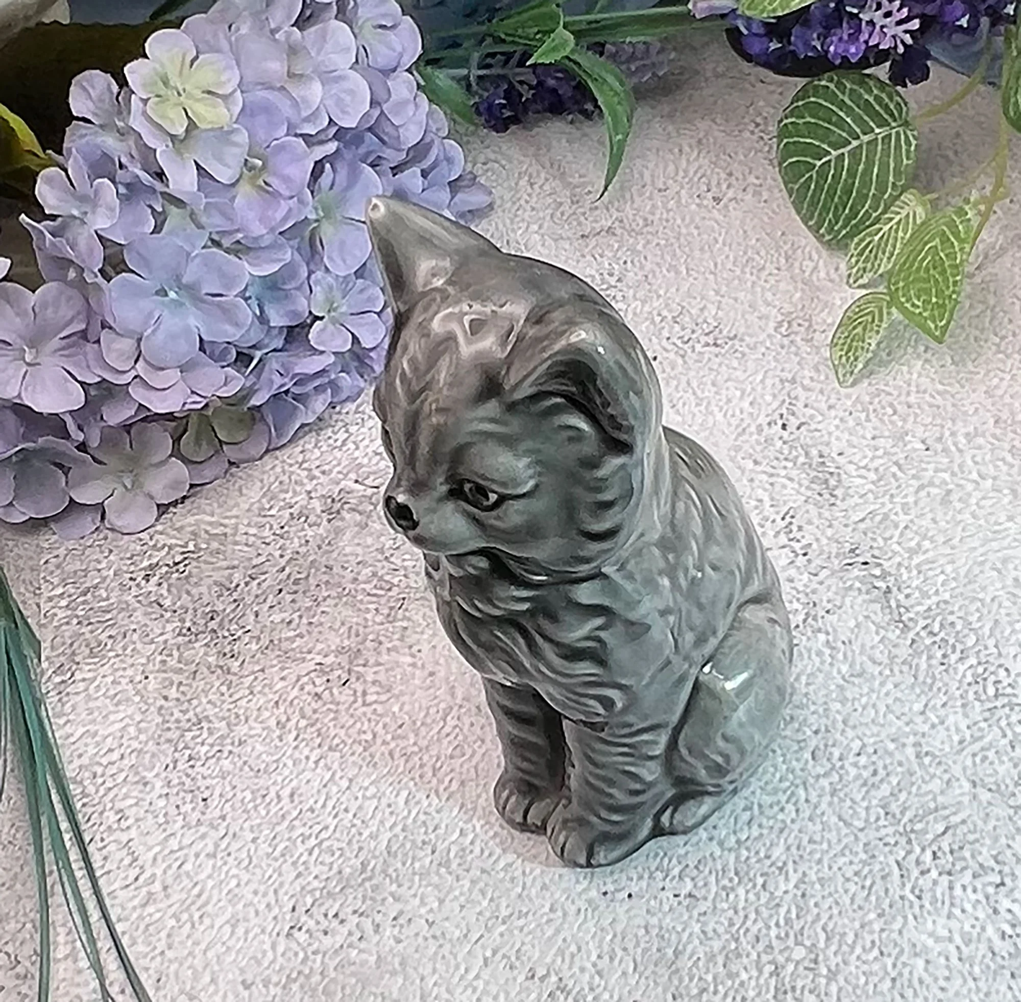 cat.jpg
