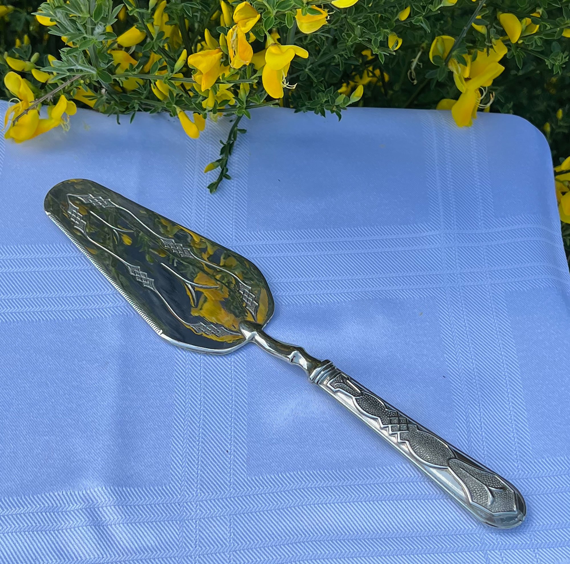 Cake Server