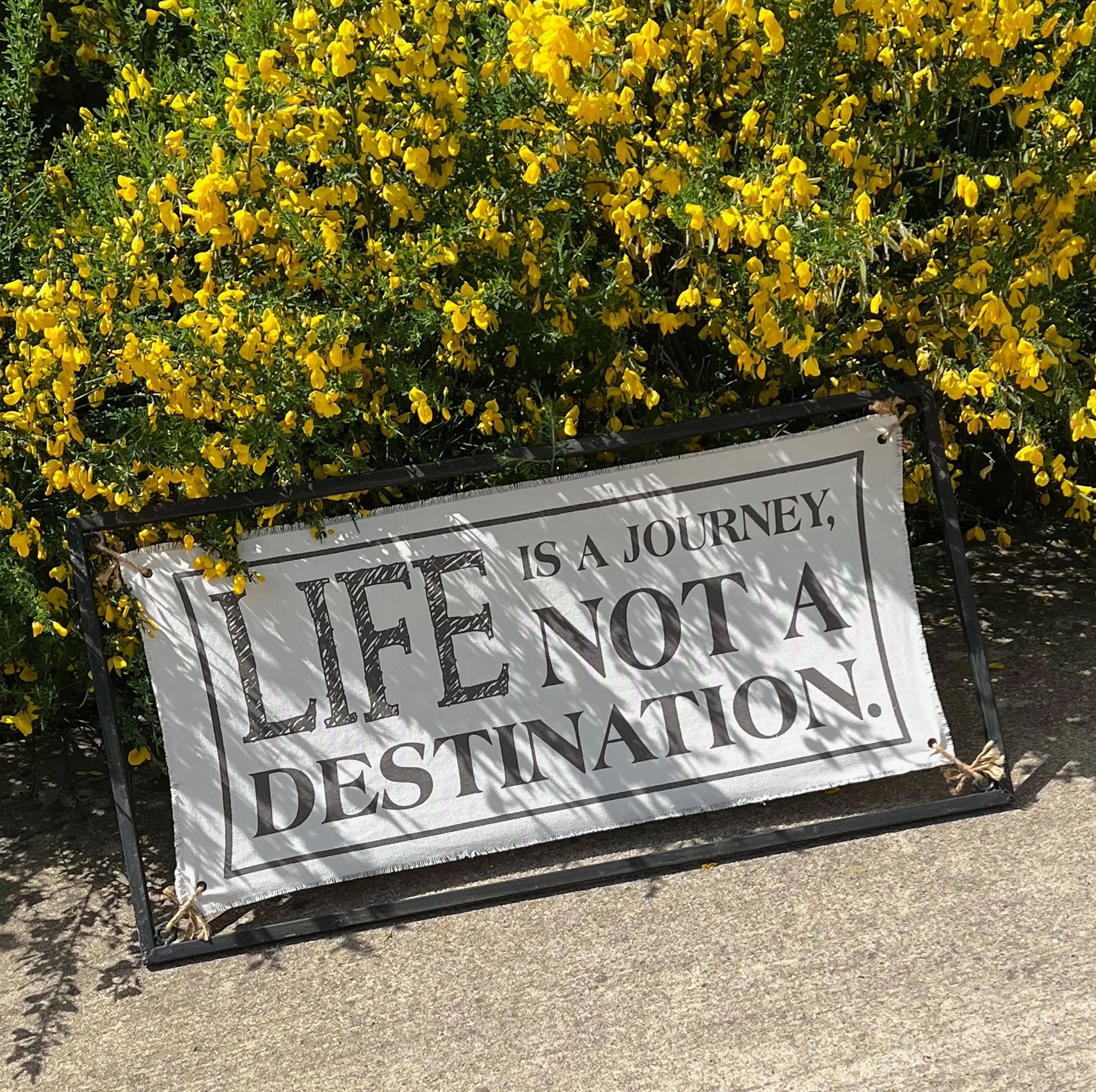 lifesign-pod28.jpg