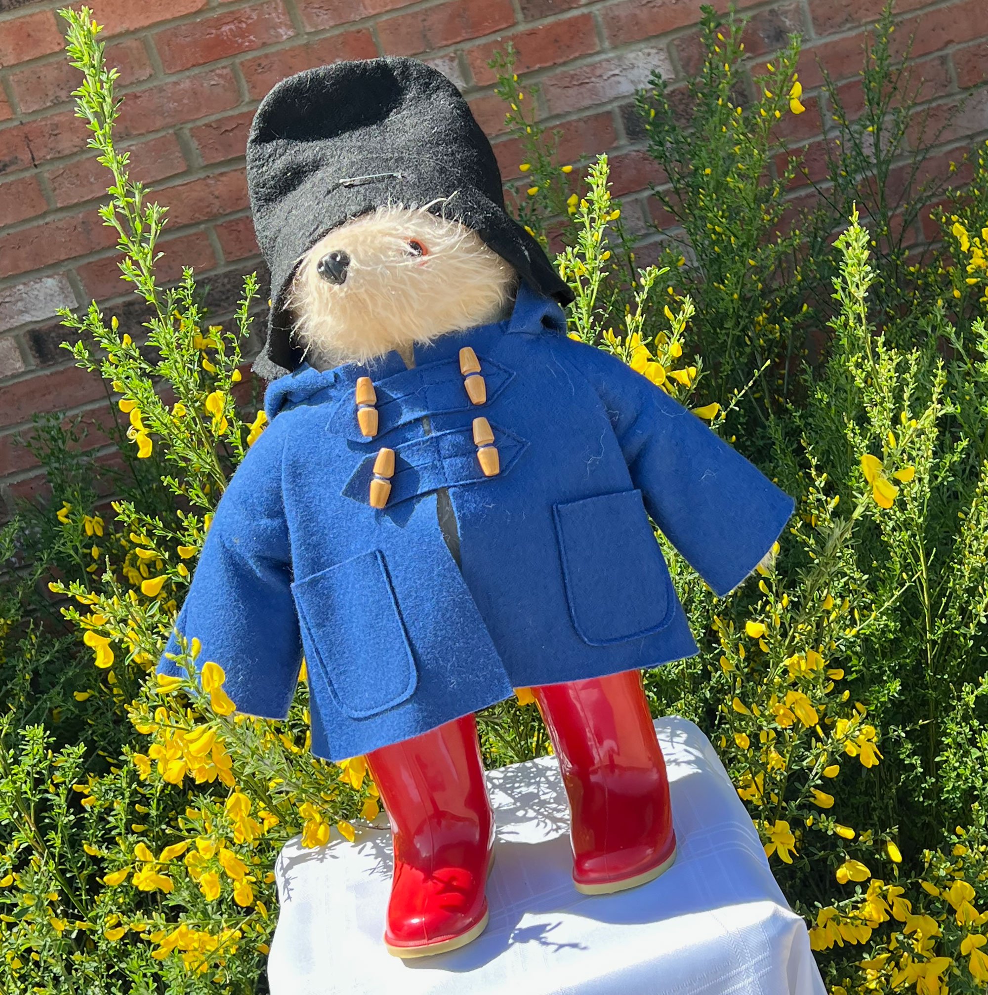 paddington-pod19B.jpg