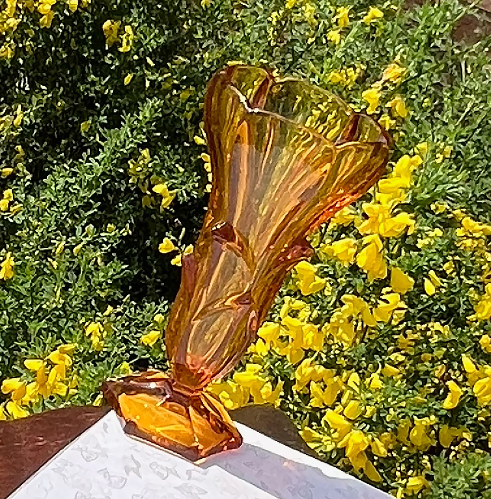amber-pod808.jpg