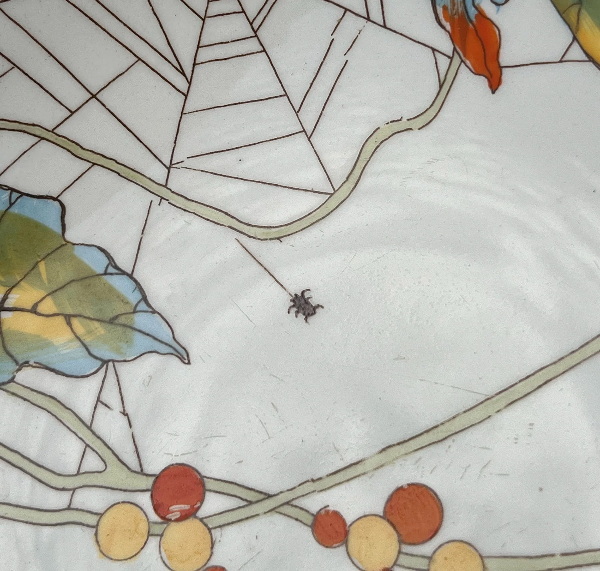 spider2-pod76.jpg