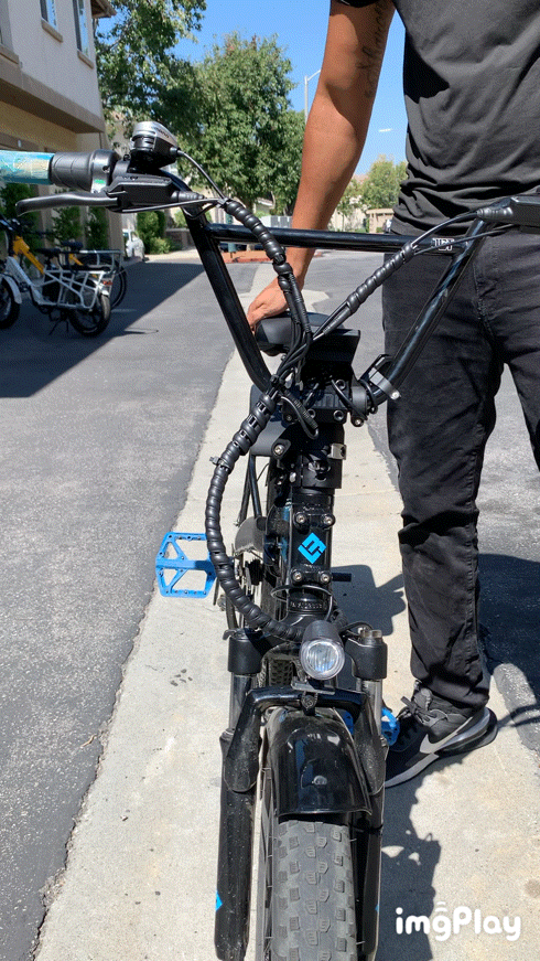 Turtle Neck Stem — DavidBrandNew