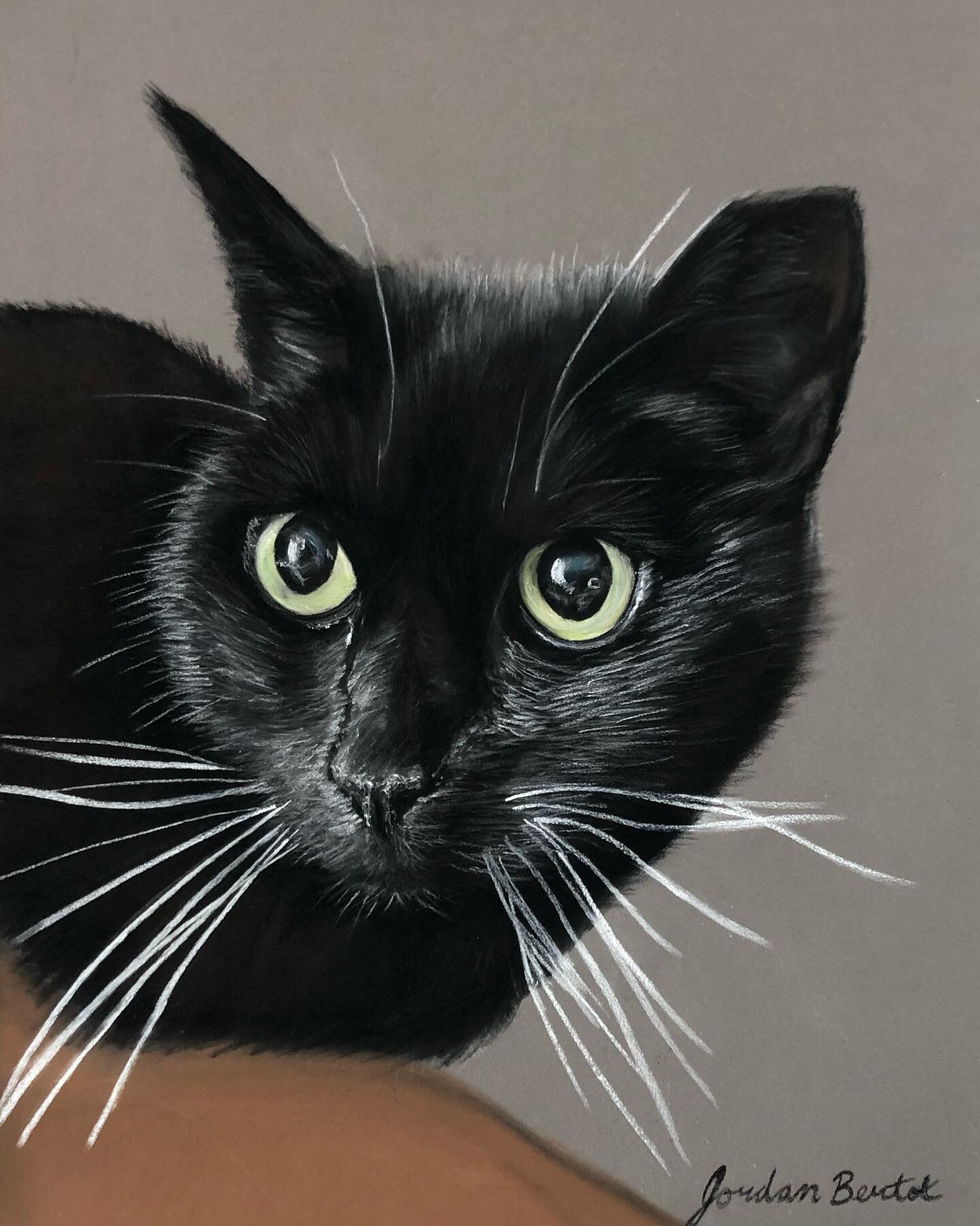 🖤 Inky&hellip; 
.
.
2/2 from &ldquo;Inky &amp; Winky&rdquo; - 9x12, pastels on Pastelmat