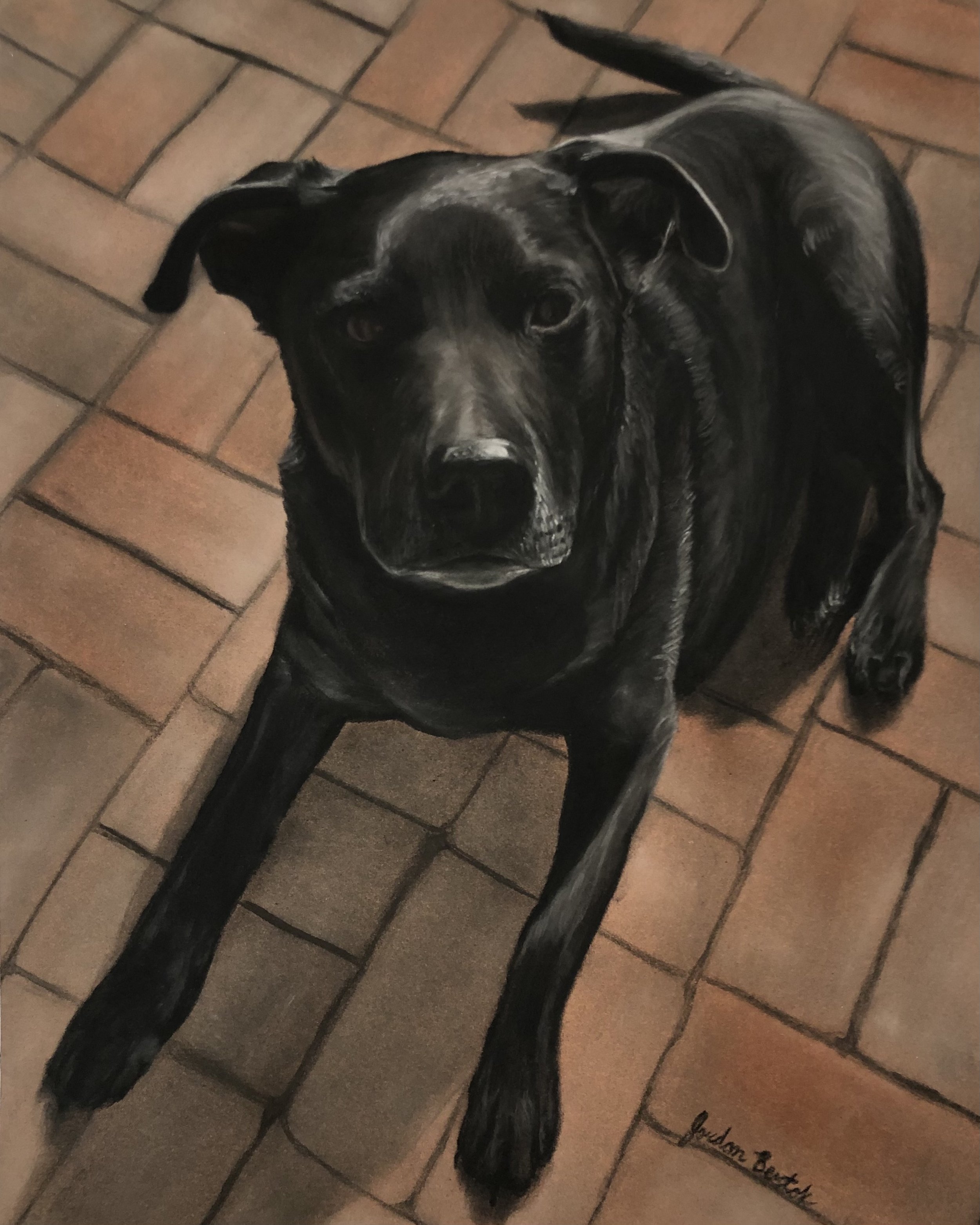 "Jonah" - 8 x 10 inches, pastels
