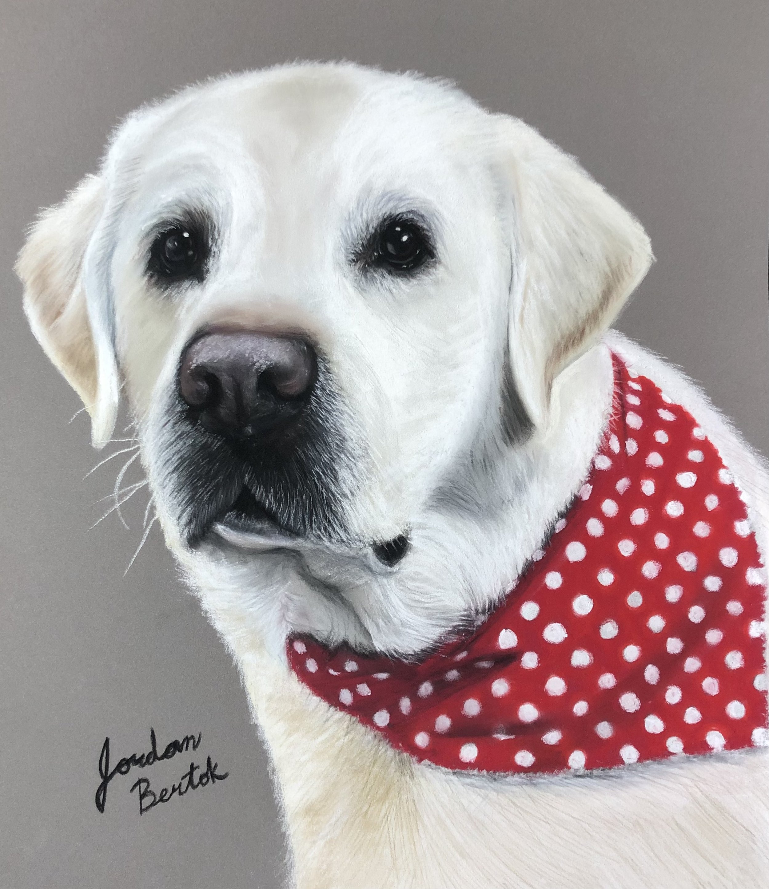 "Zonk" - 11 x 14 inches, pastels