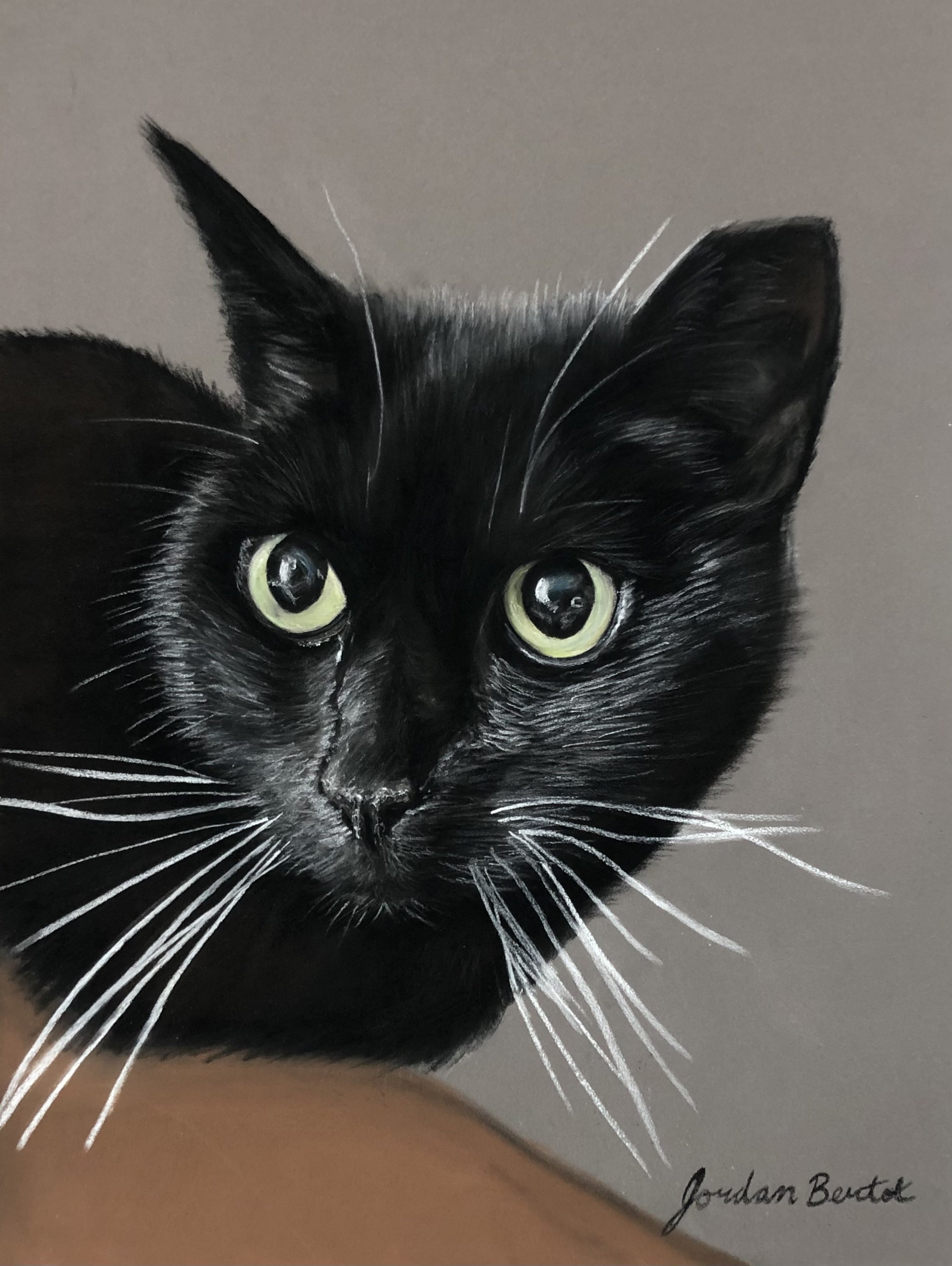 "Inky" - 9 x 12 inches, pastels