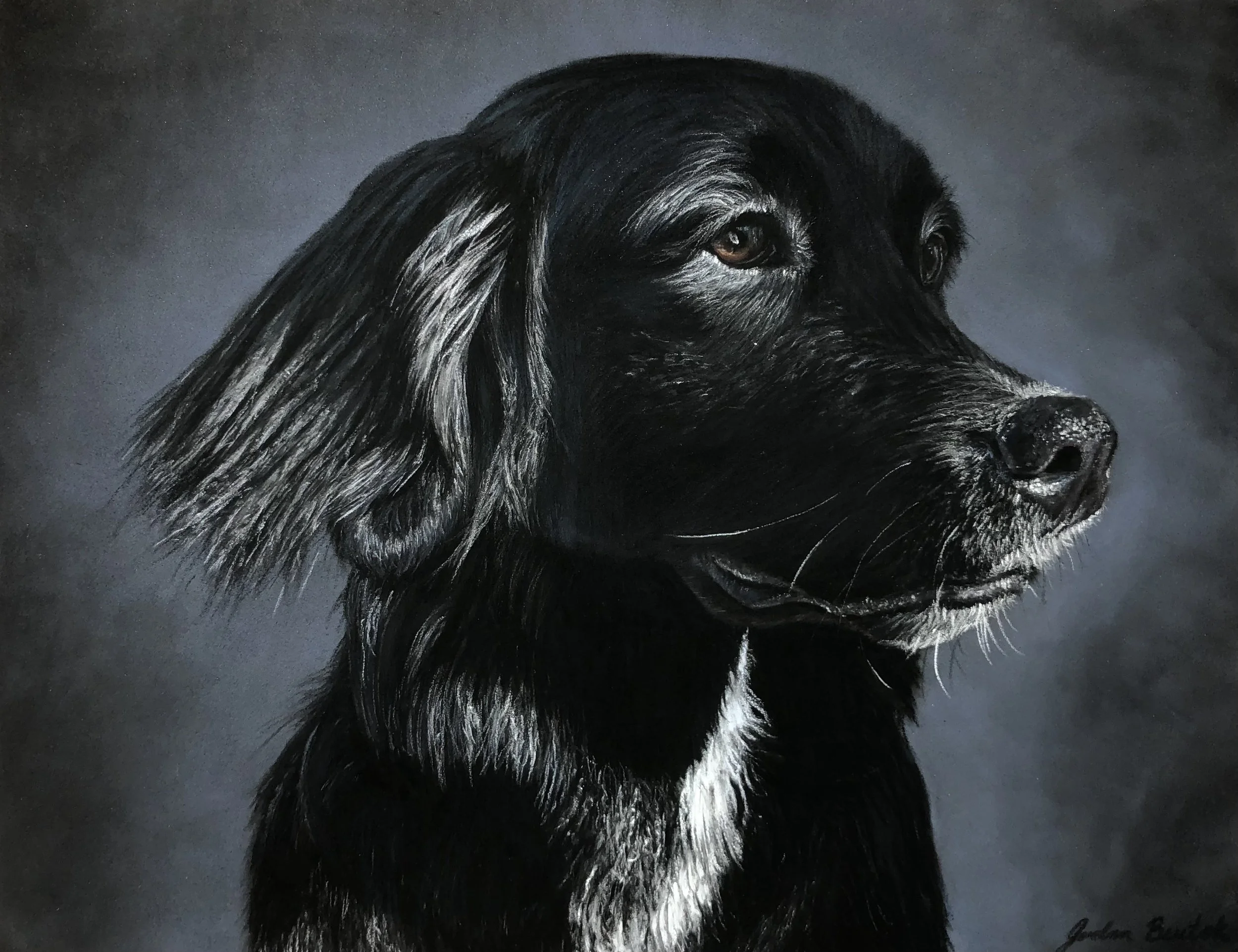 "Stevie" - 9 x 12 inches, pastels