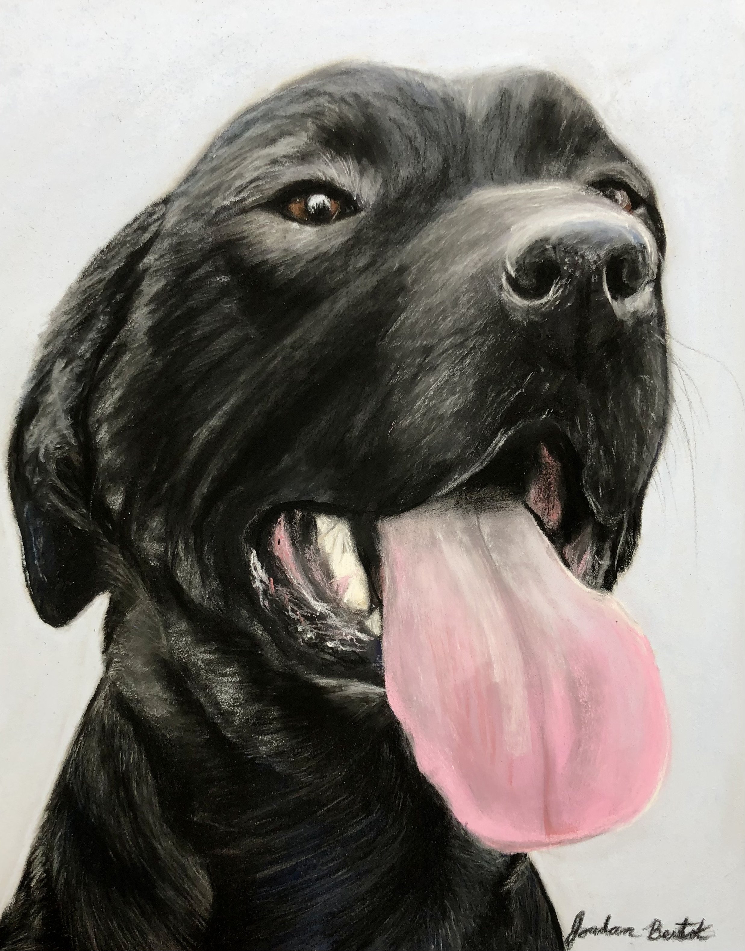 "Samson" - 8 x 10 inches, pastels