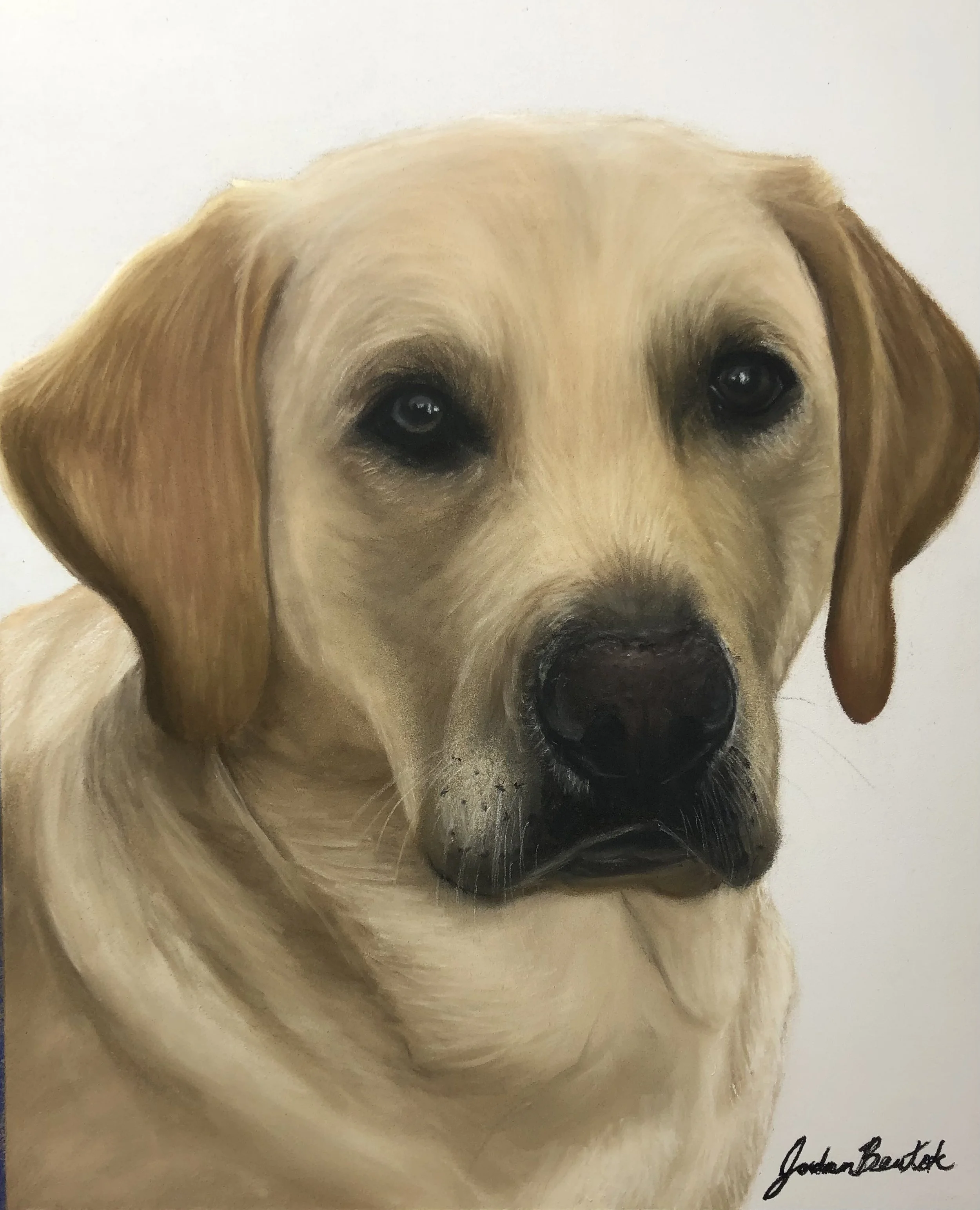 "Uncle Harry" - 8 x 10 inches, pastels