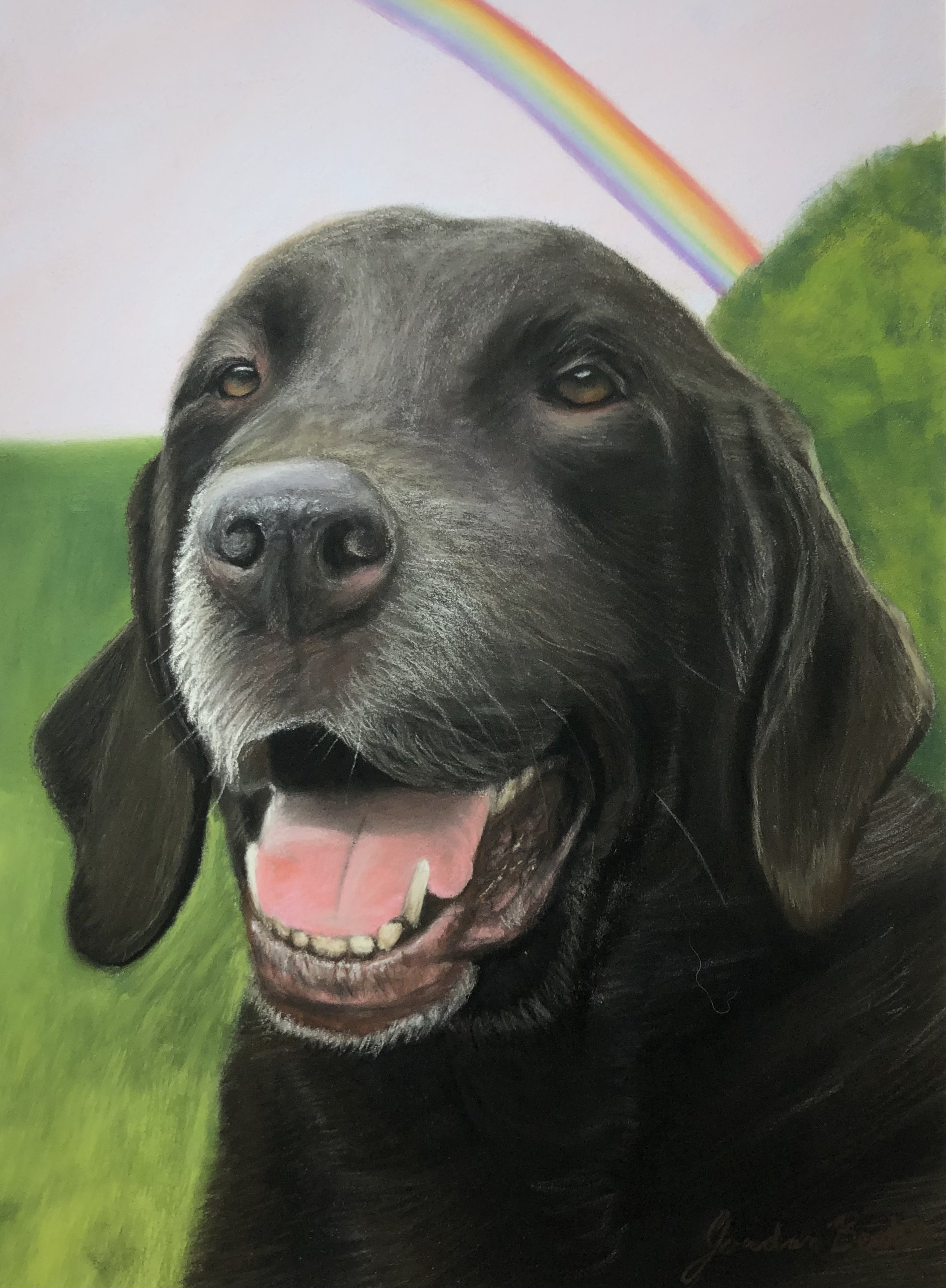 "Milton" - 9 x 12 inches, pastels