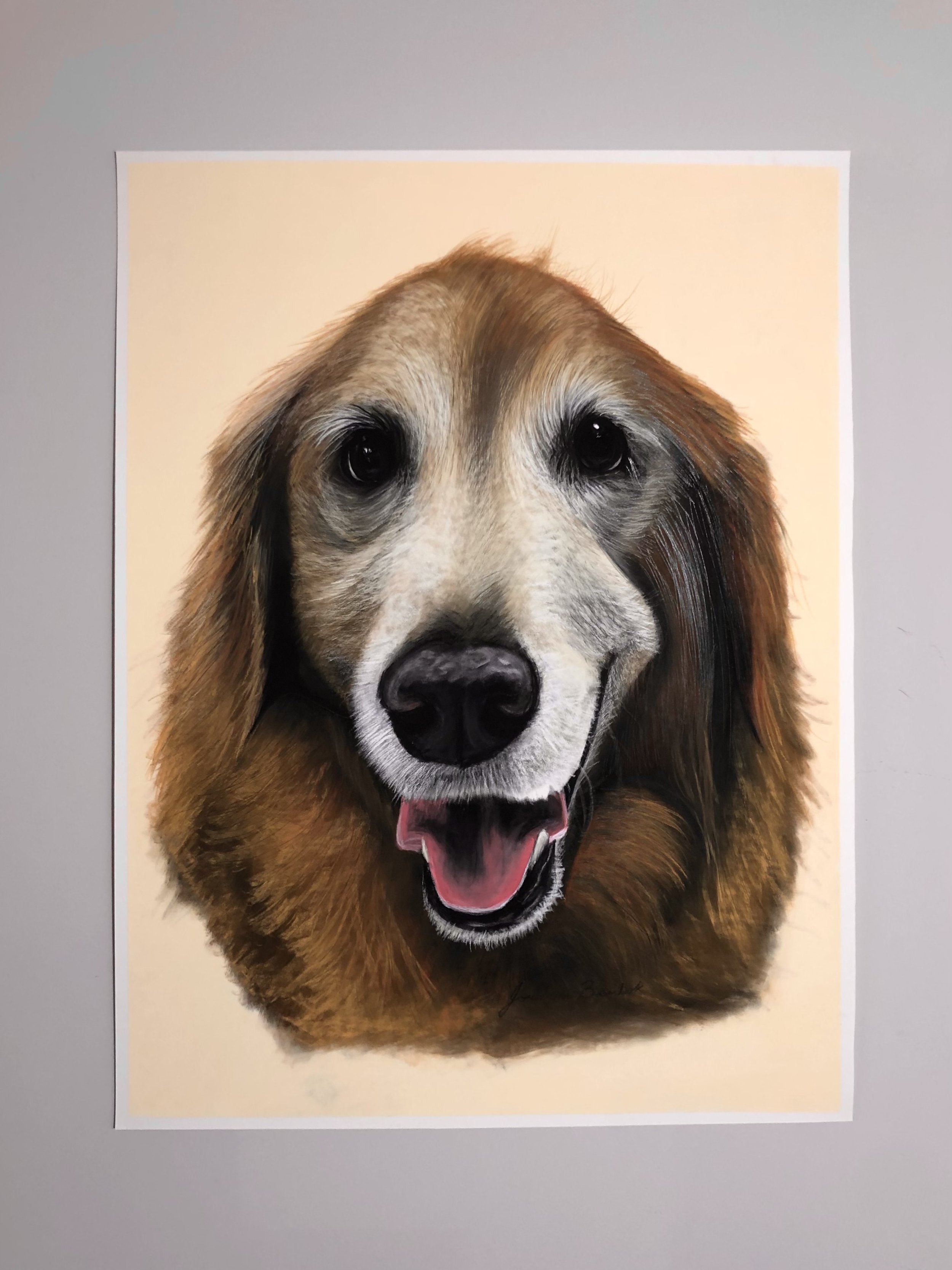 "Murph" - 18 x 24 inches, pastels