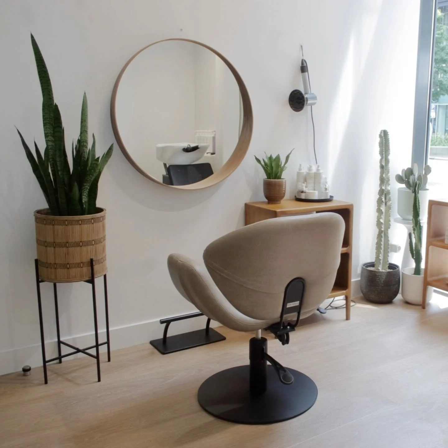 ✨️ 3 YEARS CORNELIA ORGANICS ✨️ Vandaag is Cornelia Organics 3 jaar! En dit is iets om trots op te zijn. Dankzij jullie vertrouwen en loyaliteit is Cornelia Organics een succes. Dank jullie wel daarvoor!

Deze mijlpaal vier ik graag door de hele maan