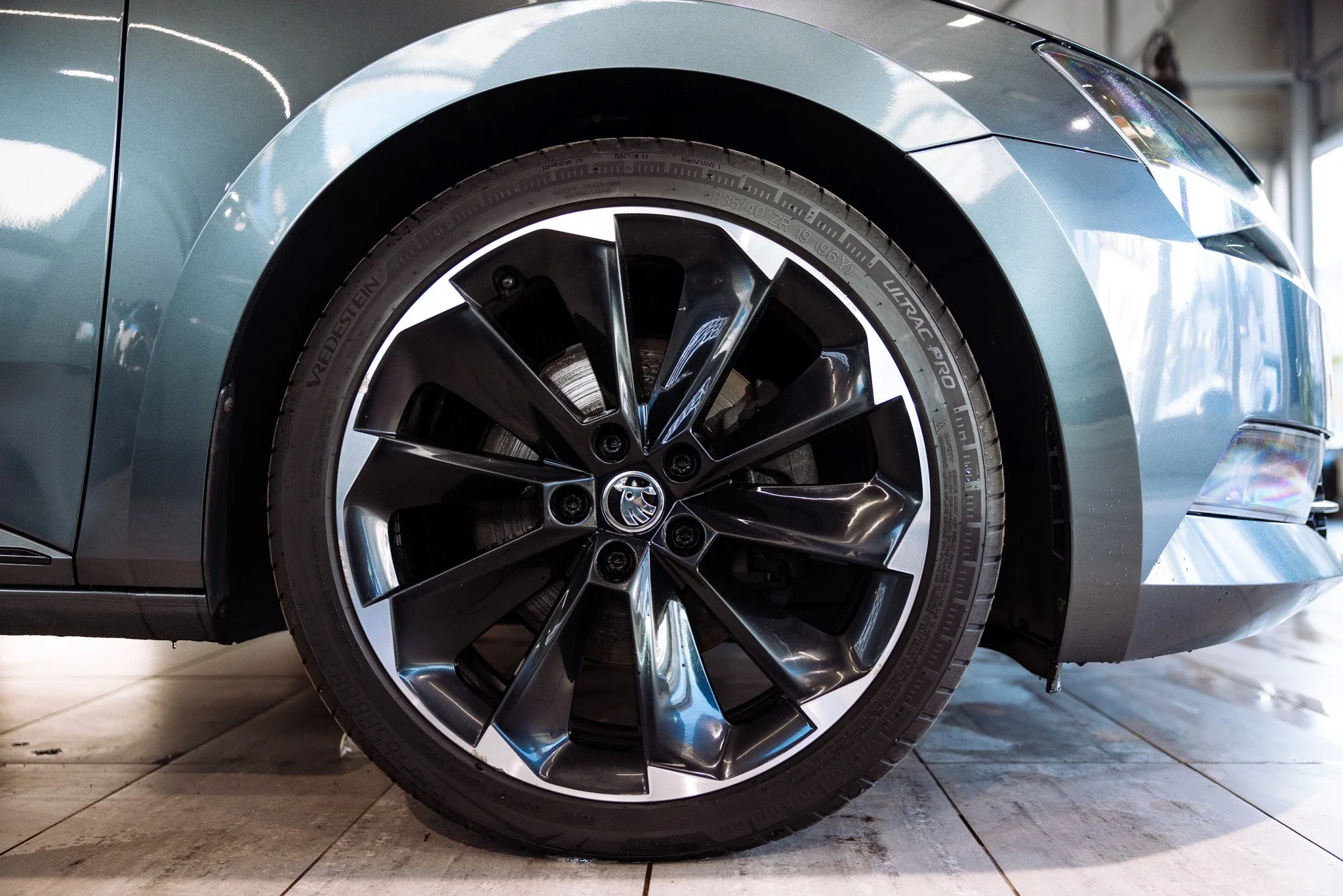 Muzicek_Superb 3-6.jpg