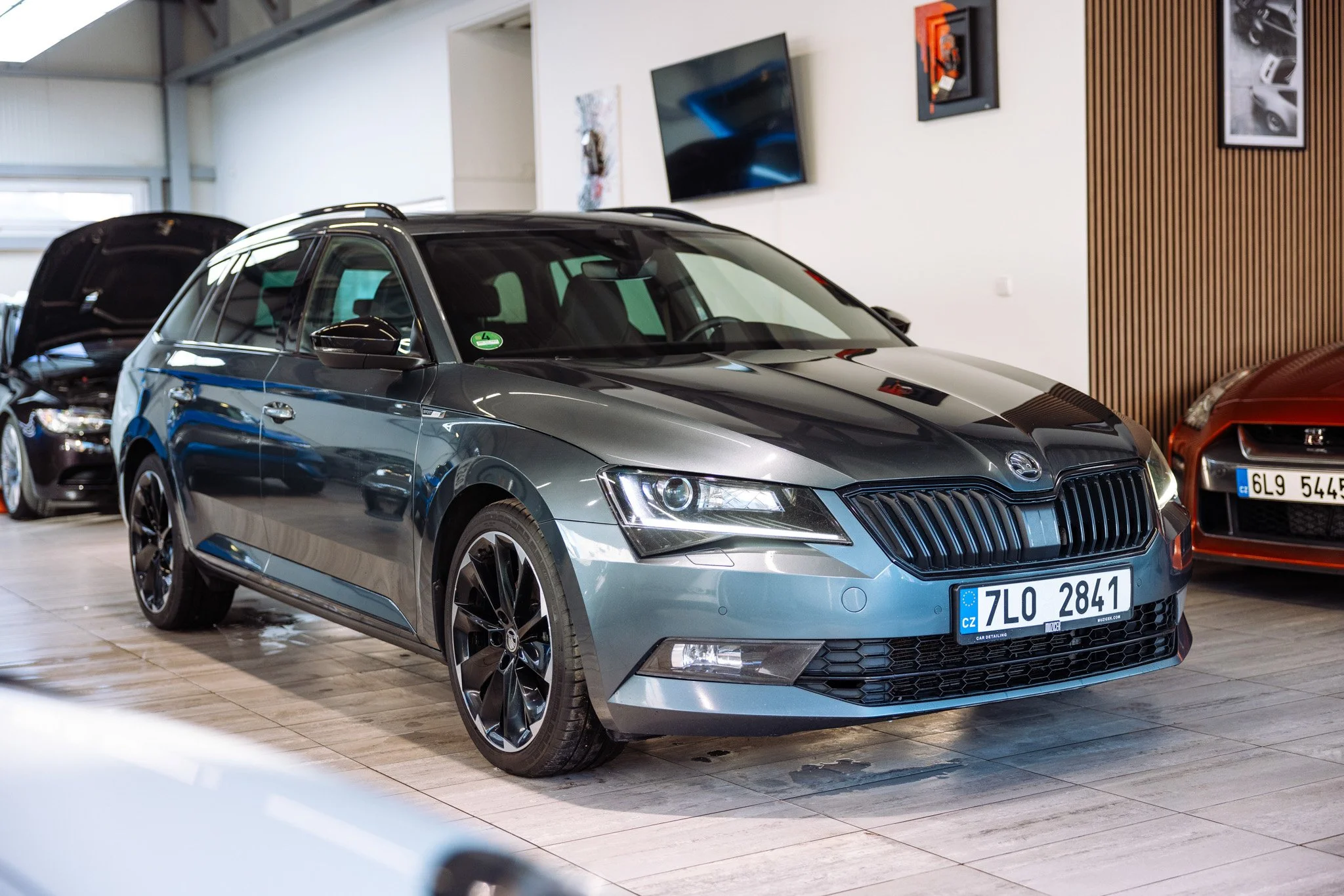 Muzicek_Superb 3-5.jpg