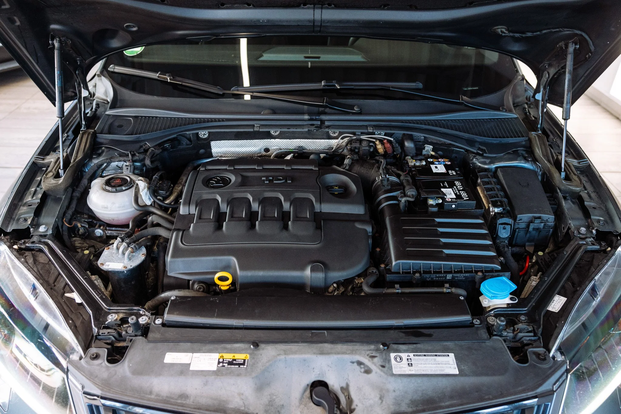 Muzicek_Superb 3-23.jpg