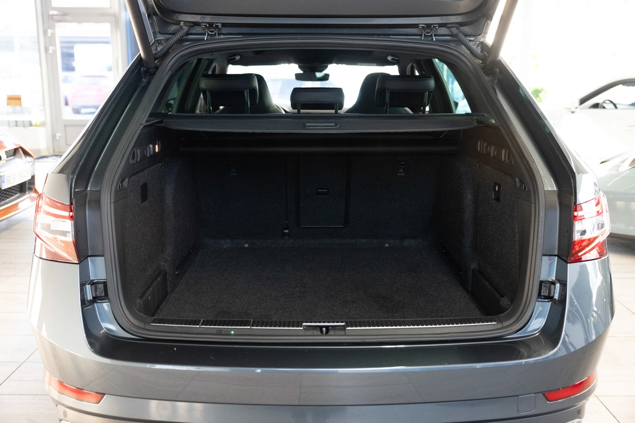 Muzicek_Superb 3-13.jpg