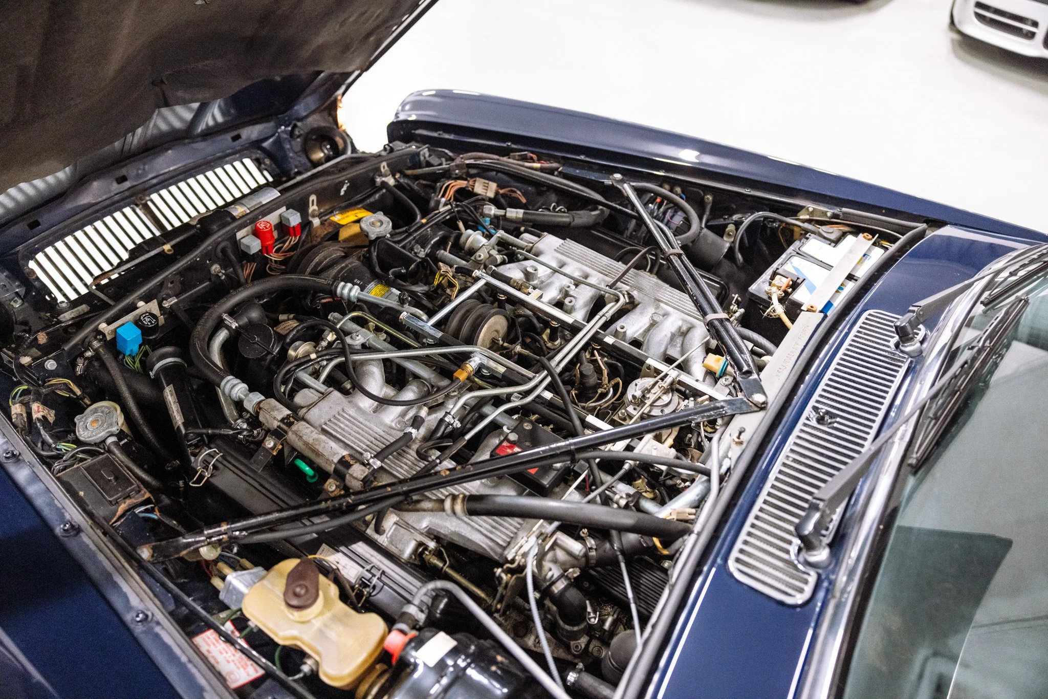 Muzicek Jaguar XJ-23.jpg