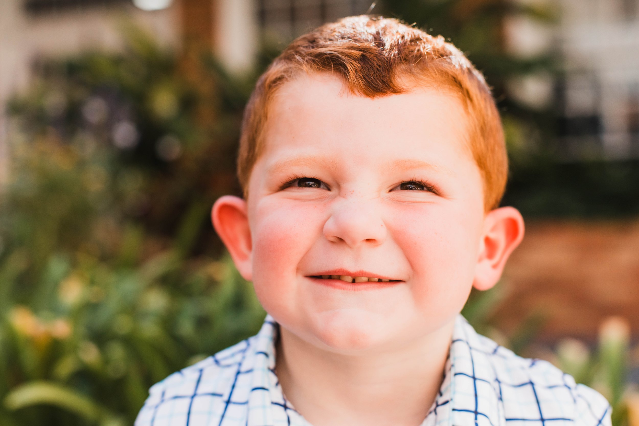What does a tiger say? Best school pictures