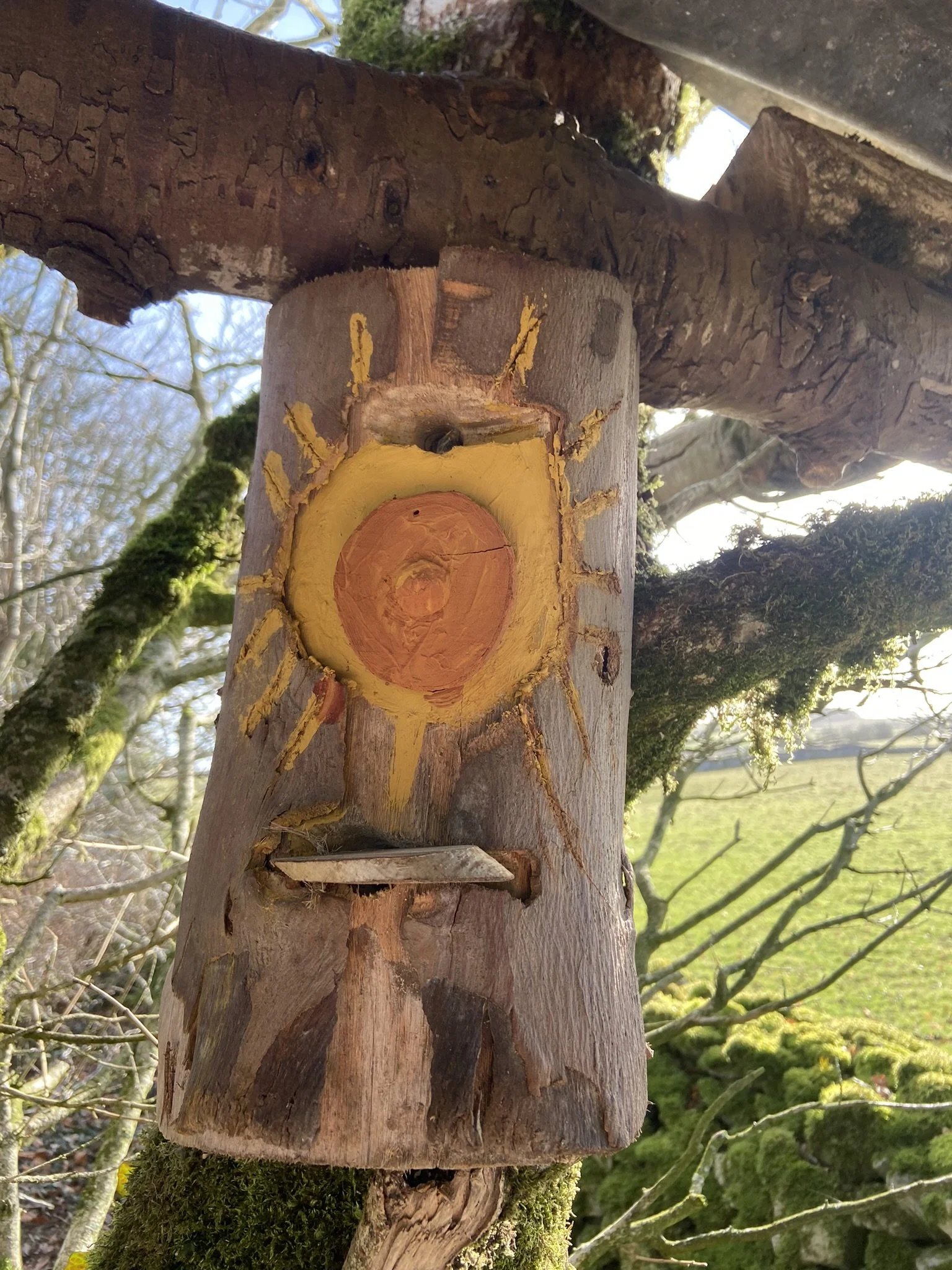 A tree with a painted sun design in yellow and orange on a cut section of its trunk, the trunk also has a small shelf and a nail or hook.