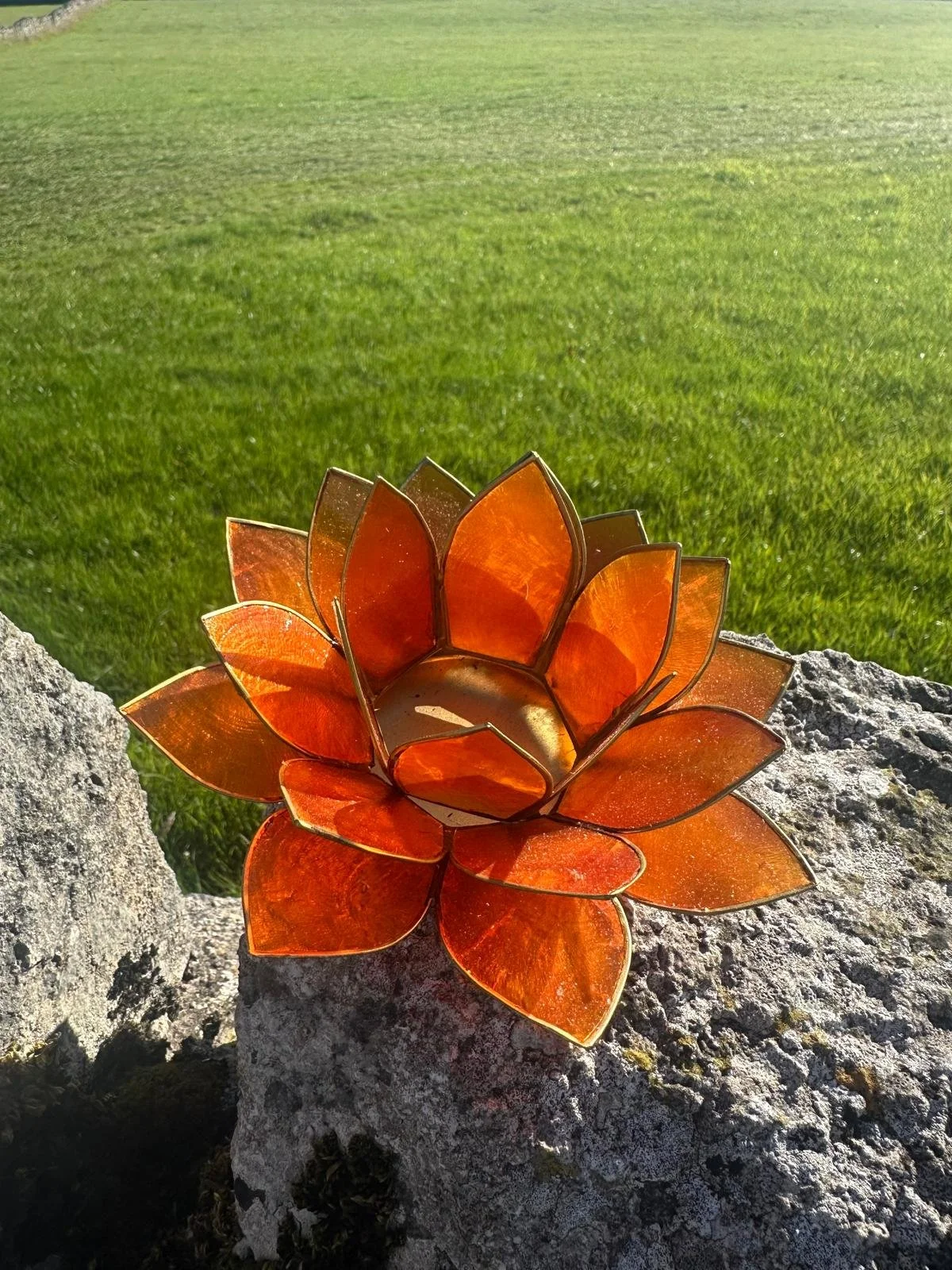 Orange sacral.jpg