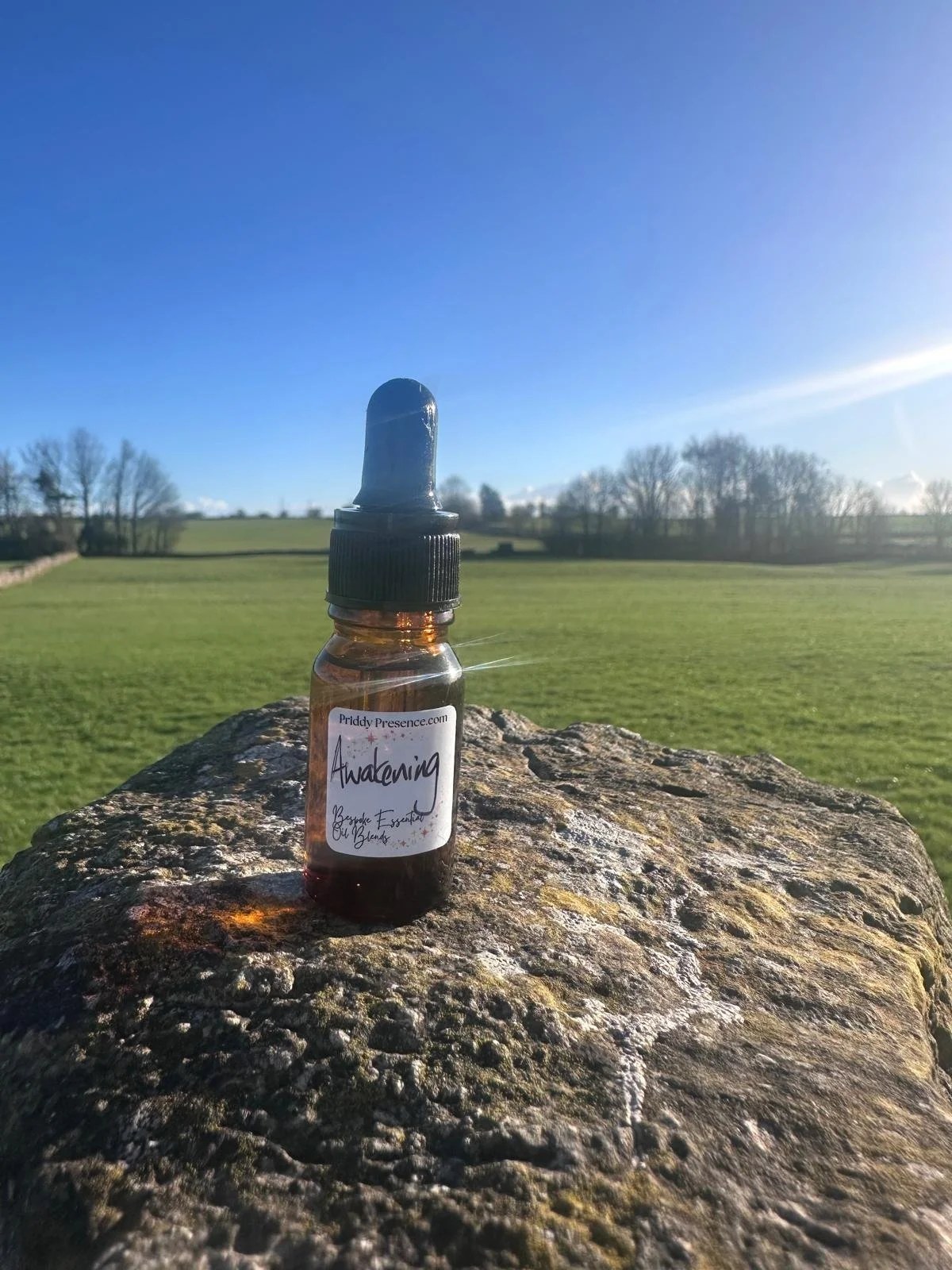 awakening outside.jpeg