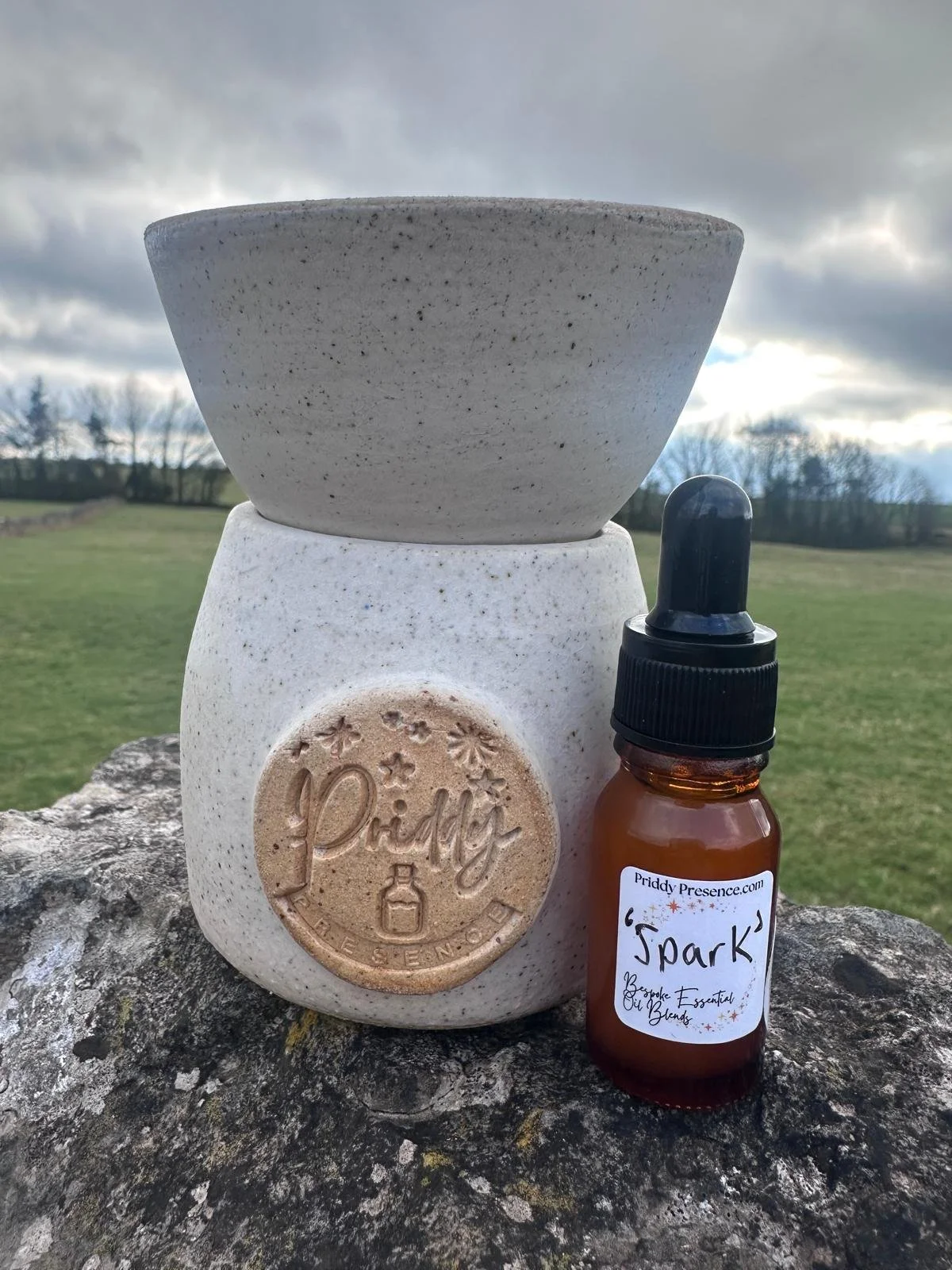 Rituals of presence with spark2.jpeg