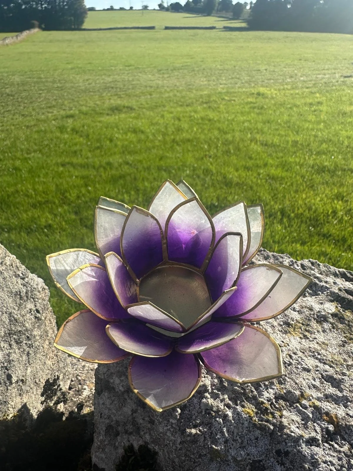 Violet crown.jpg