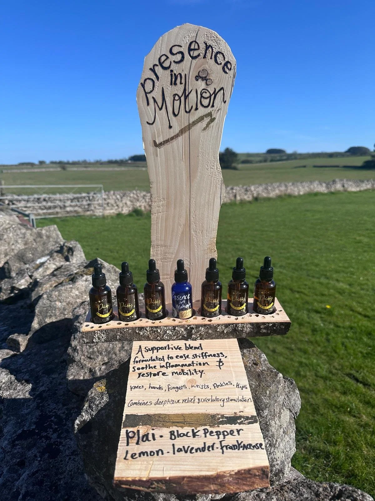 WhatsApp Image 2026-04-06 at 17.17.18.jpeg