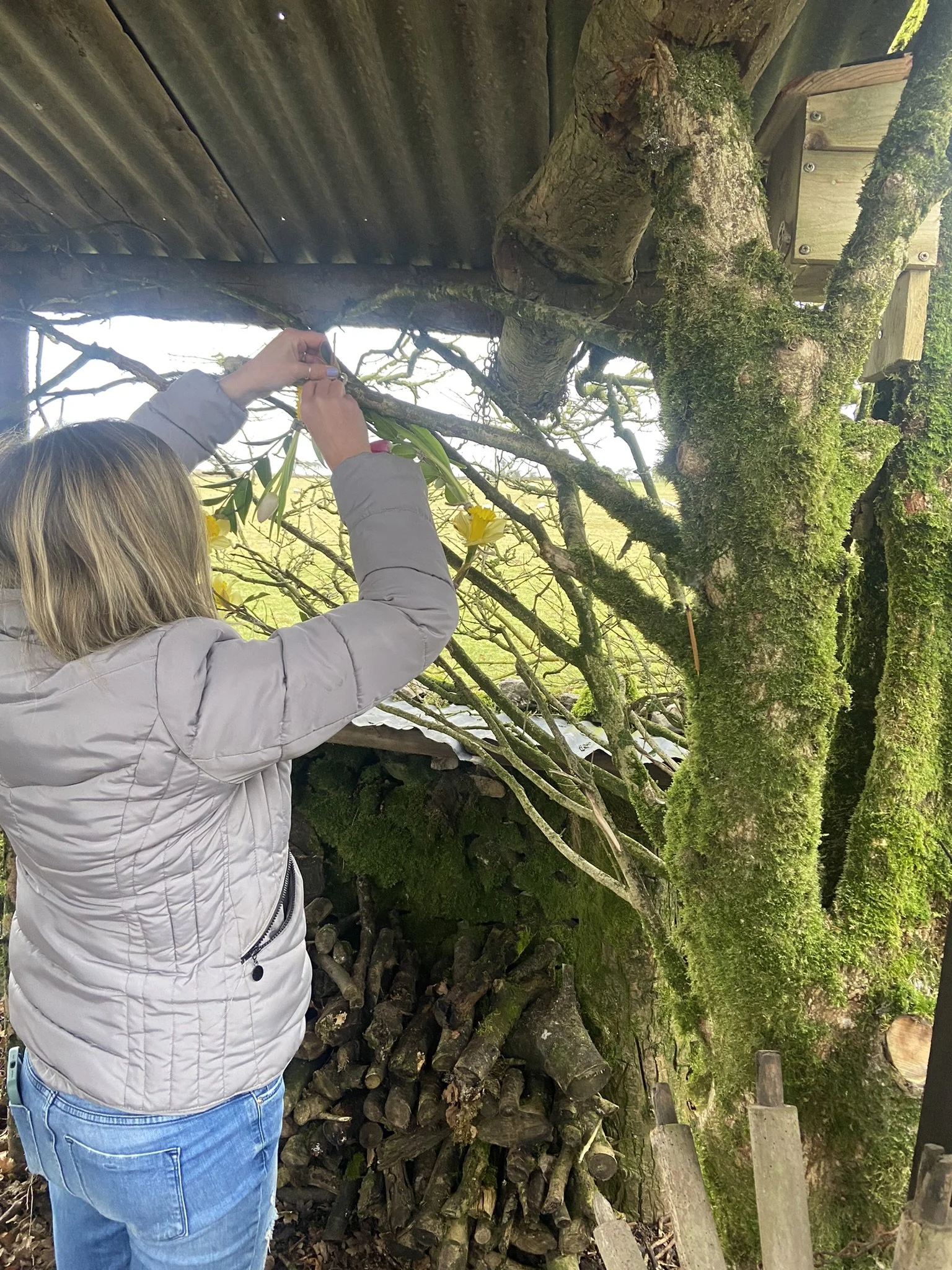 A woman with blond hair, wearing a light gray jacket and blue jeans, arranging yellow flowers on a moss-covered tree branch under a wooden roof.