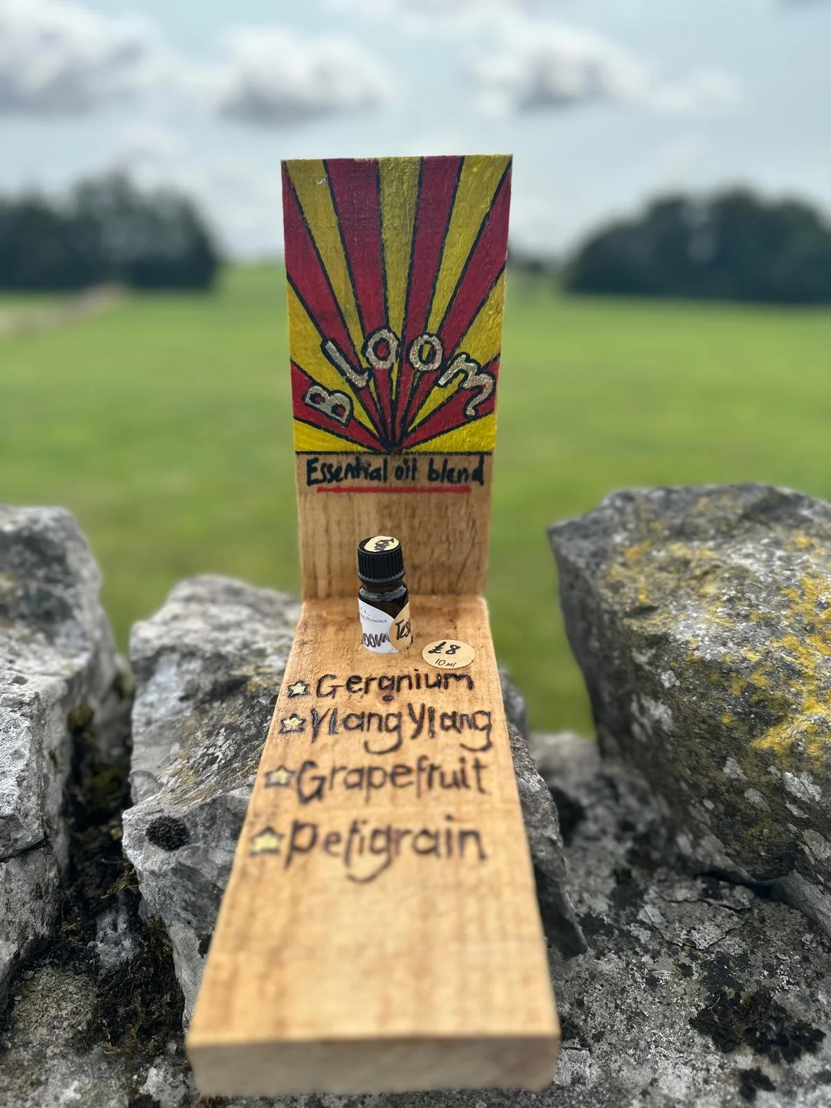 ‘Bloom’  — Assist growth