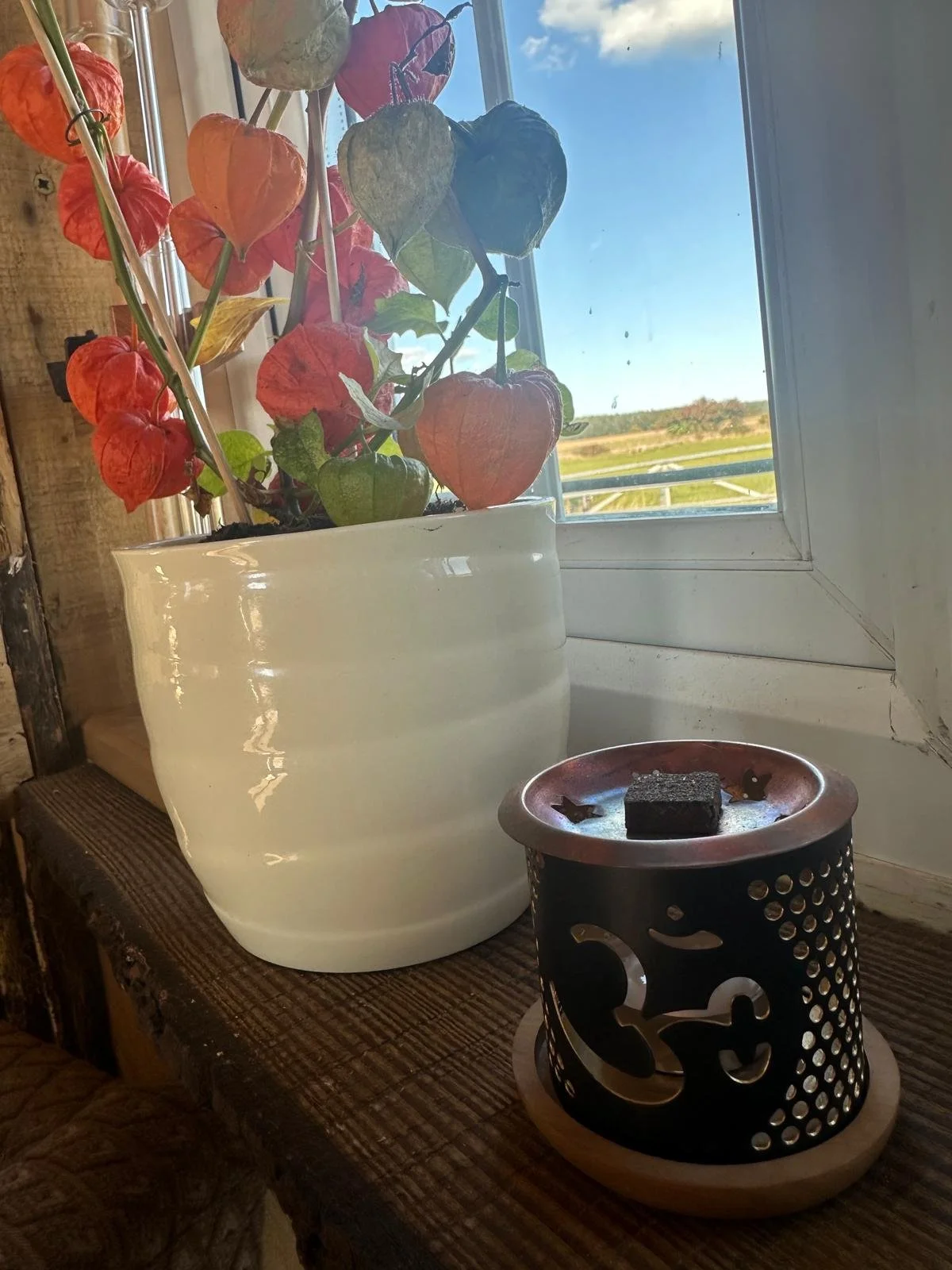 aromafume nag champa flower.jpg